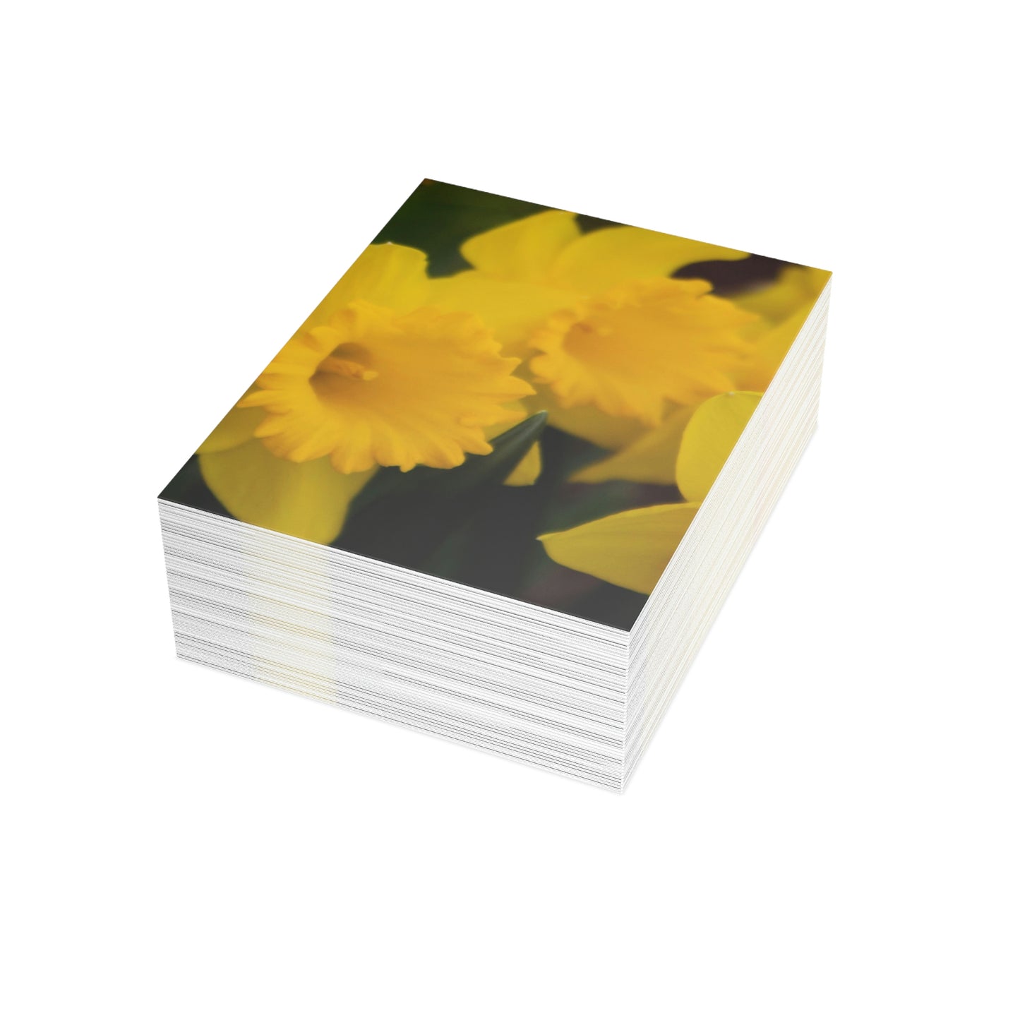 Flowers 08 Greeting Cards (1, 10, 30, and 50pcs)