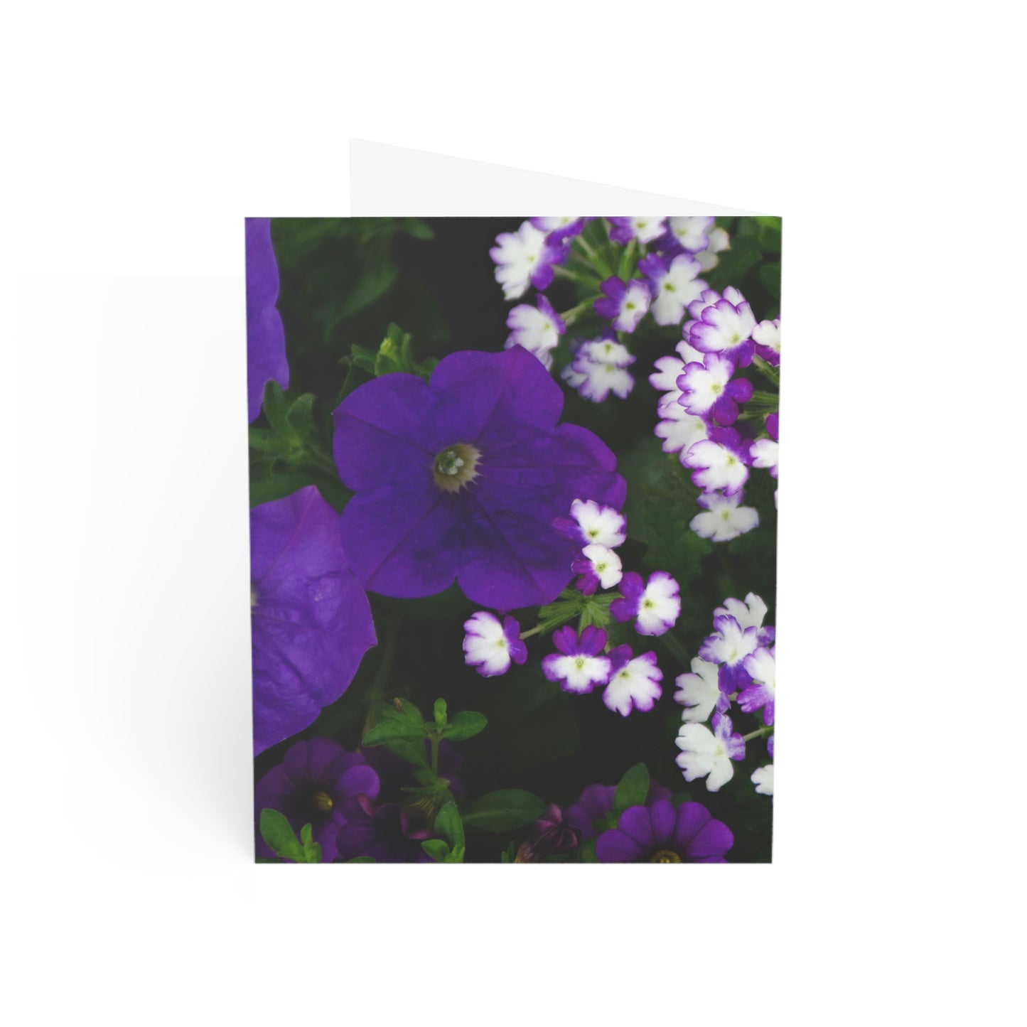 Flowers 04 Greeting Cards (1, 10, 30, and 50pcs)