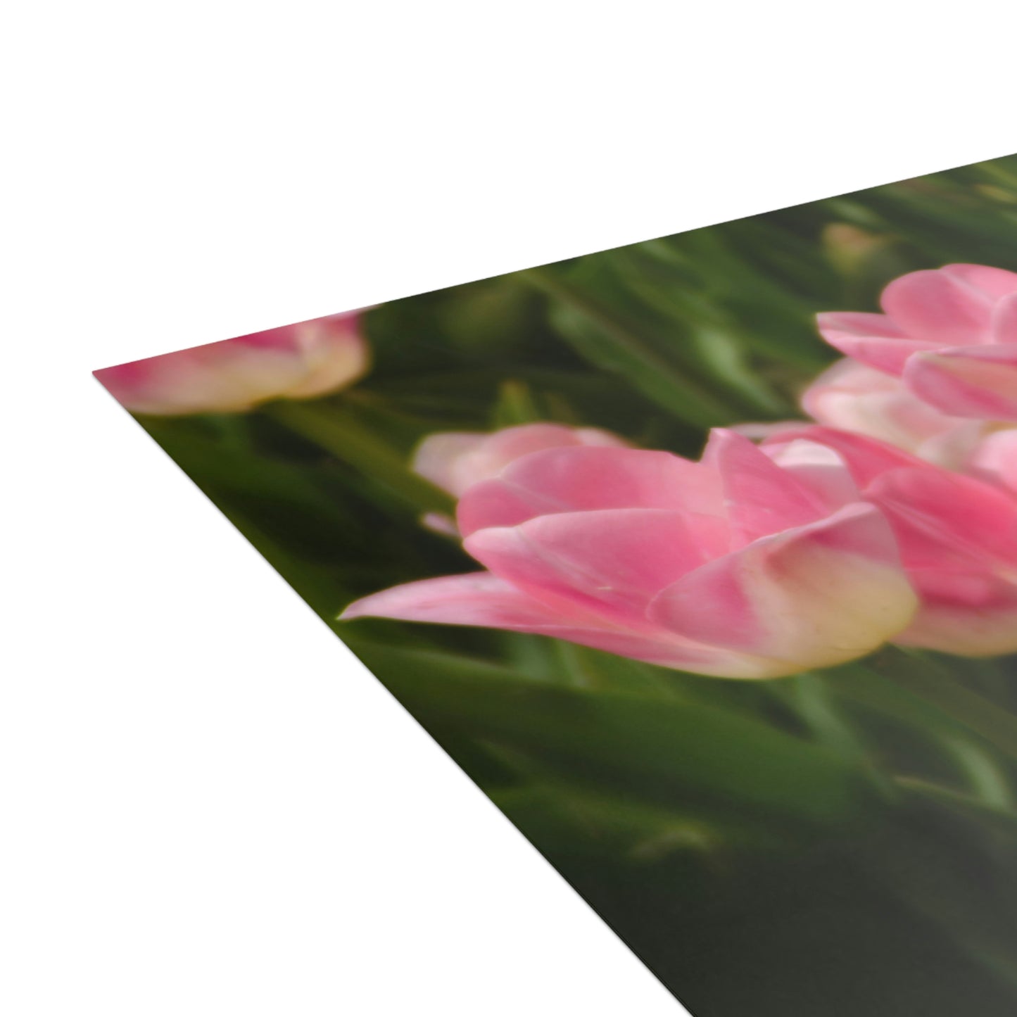 Flowers 17 Greeting Cards (1, 10, 30, and 50pcs)