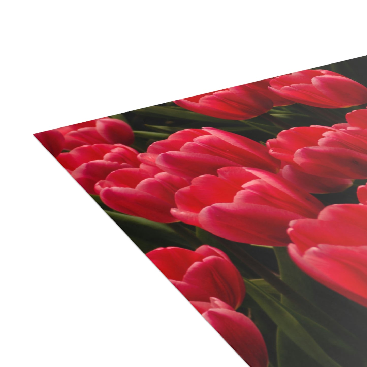 Flowers 24 Greeting Cards (1, 10, 30, and 50pcs)