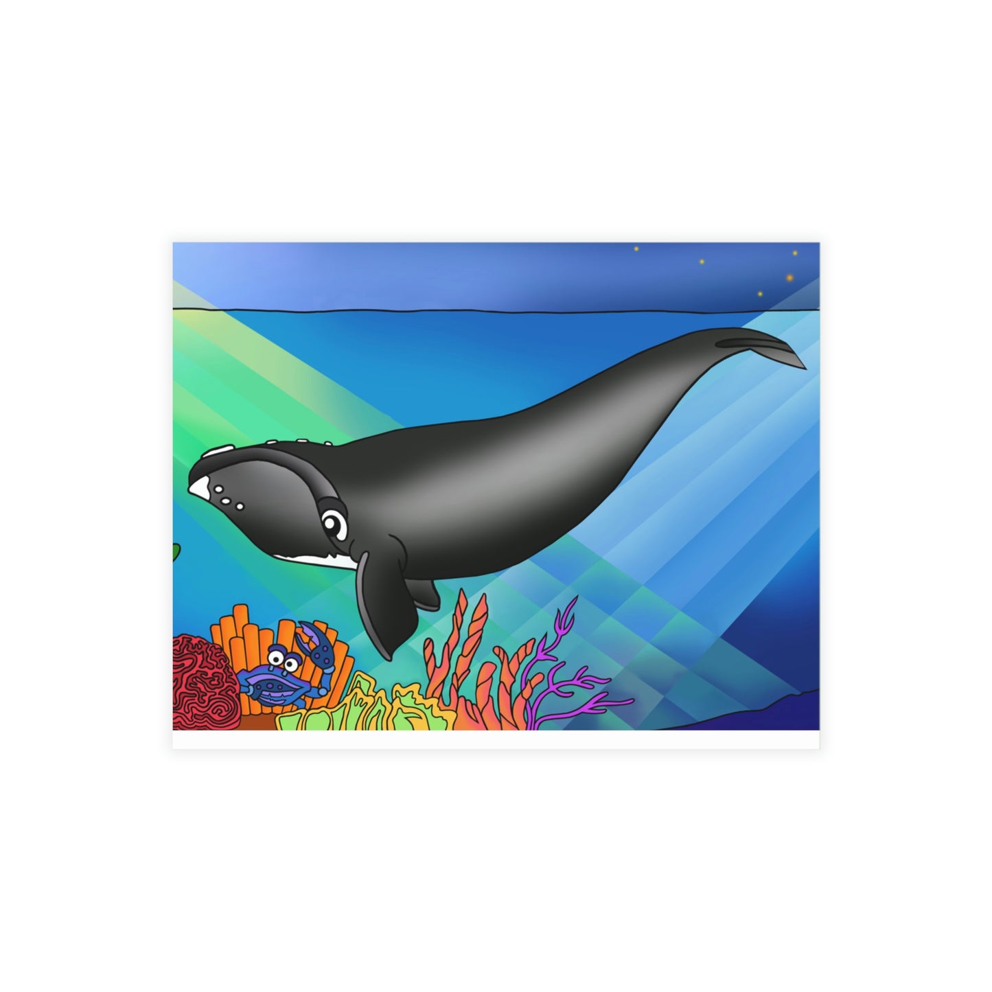Gray Whale Greeting Card Bundles (envelopes not included)