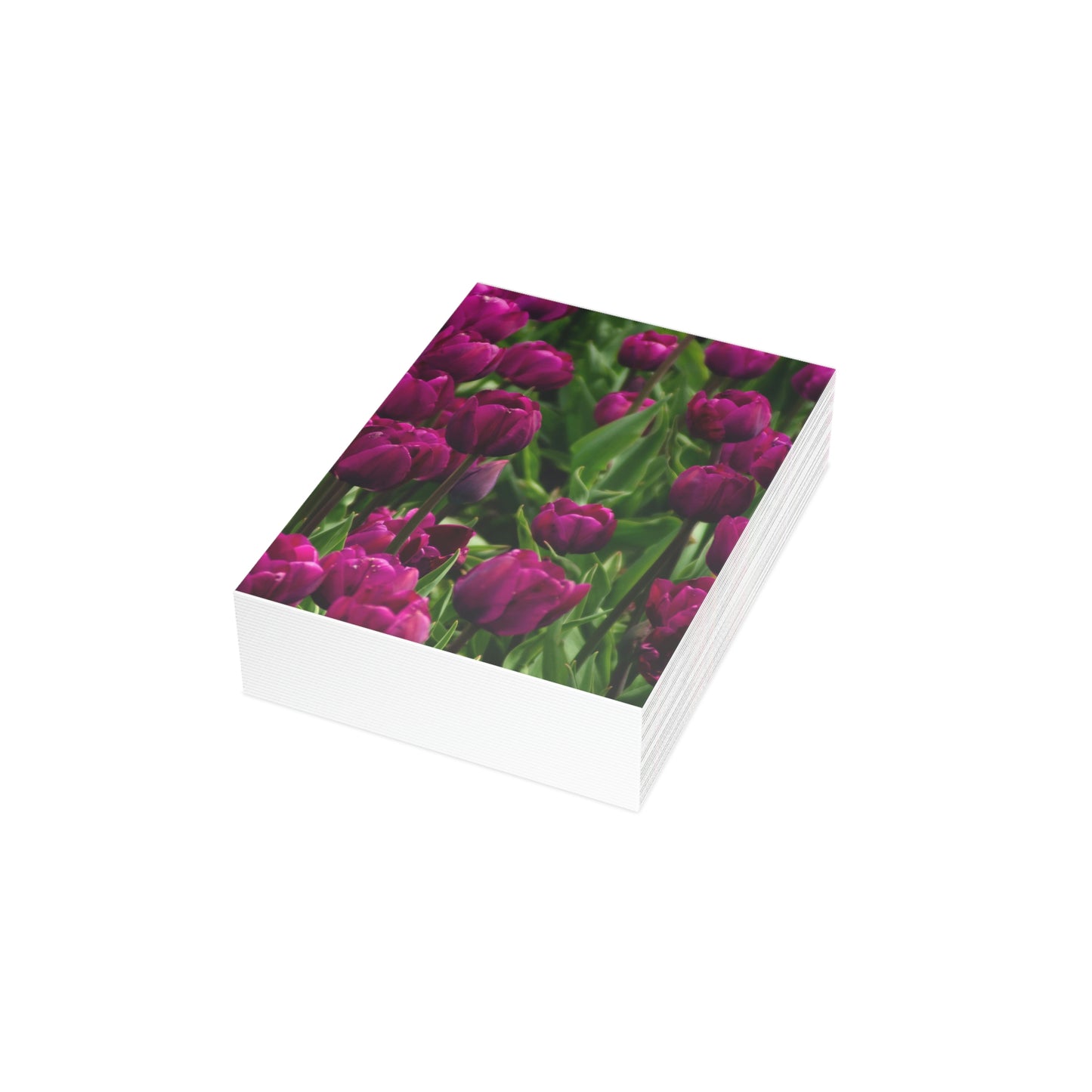 Flowers 20 Greeting Cards (1, 10, 30, and 50pcs)