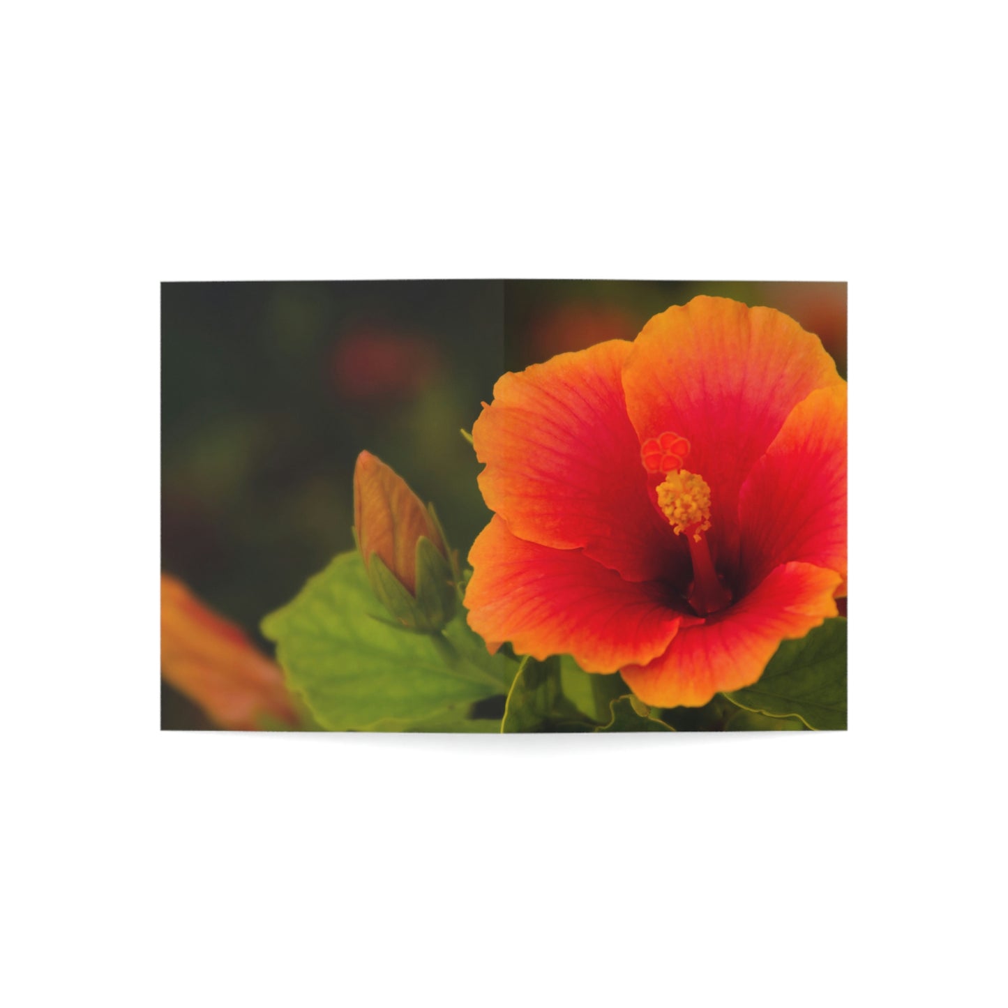 Flowers 31 Greeting Cards (1, 10, 30, and 50pcs)