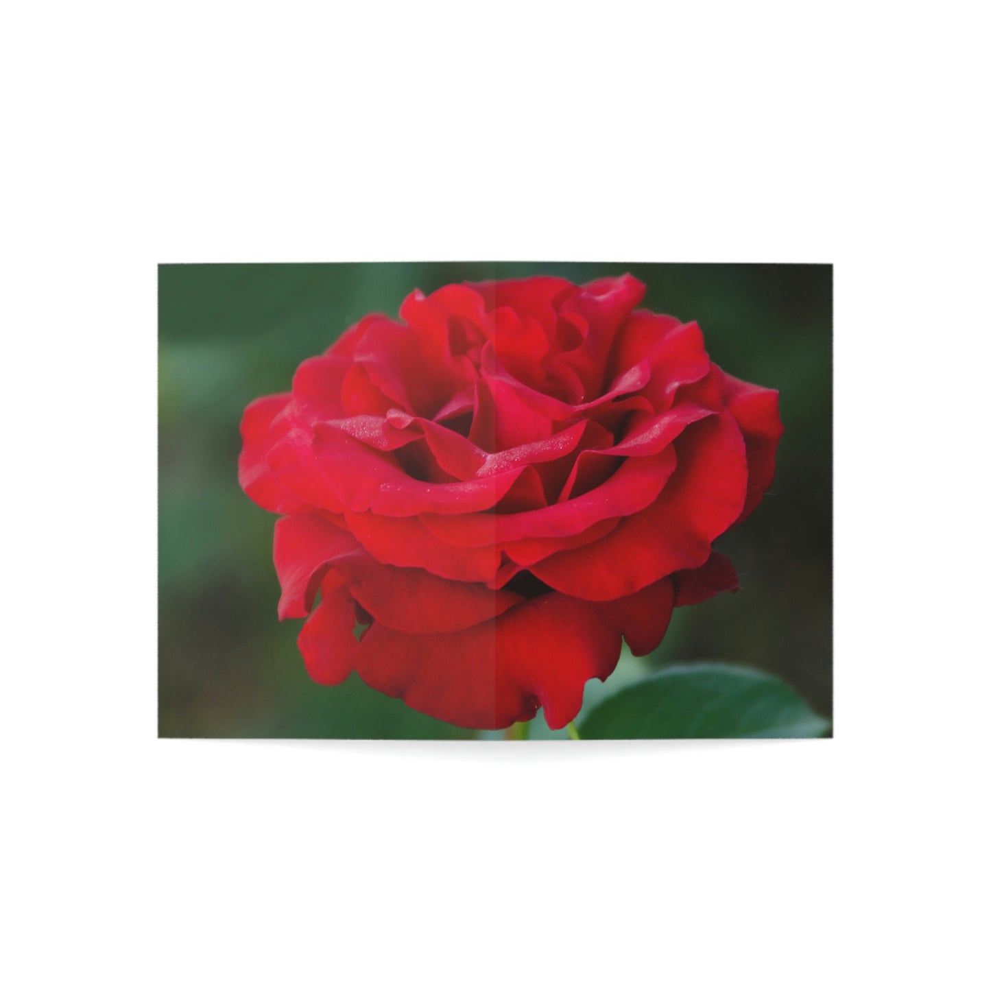 Flowers 13 Greeting Cards (1, 10, 30, and 50pcs)