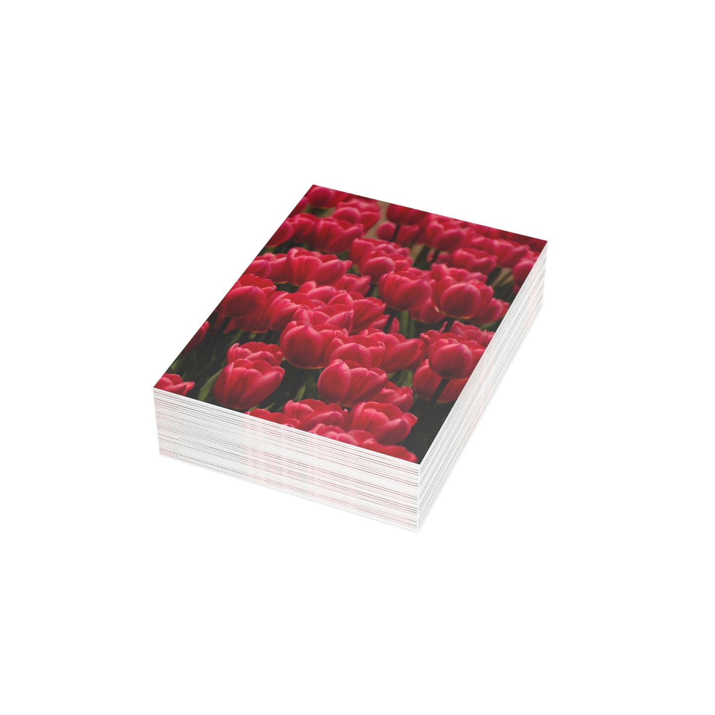 Flowers 16 Greeting Cards (1, 10, 30, and 50pcs)