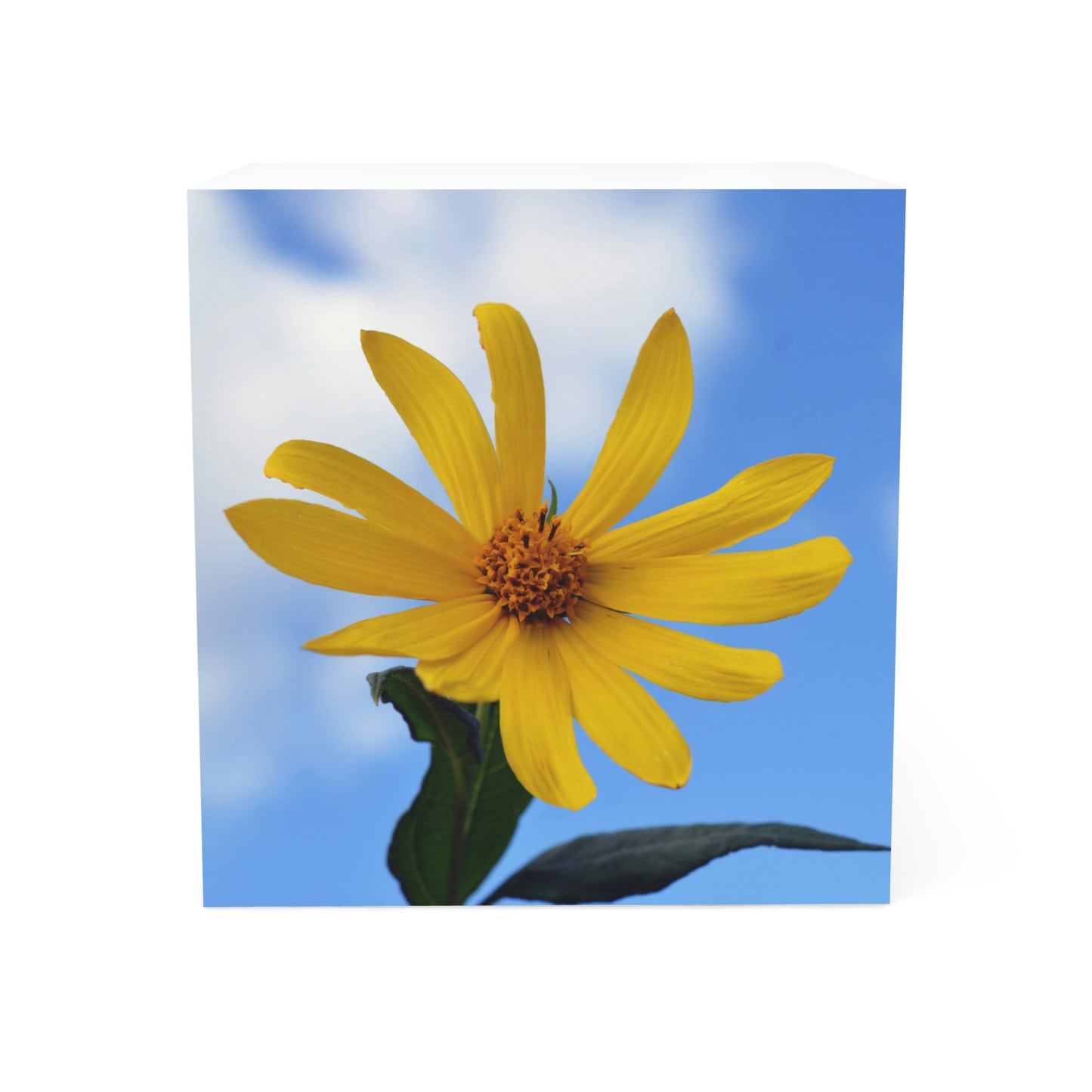 Flower 34 Note Cube