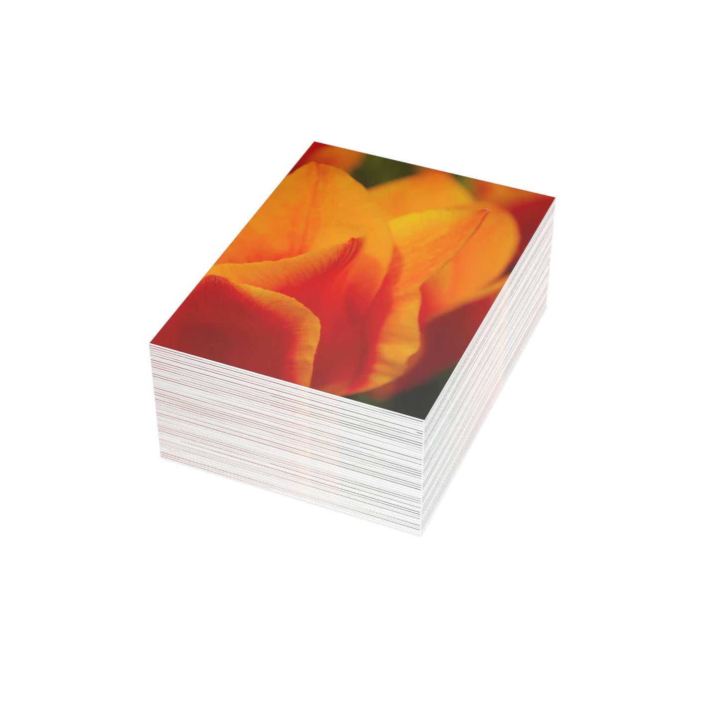 Flowers 15 Greeting Cards (1, 10, 30, and 50pcs)