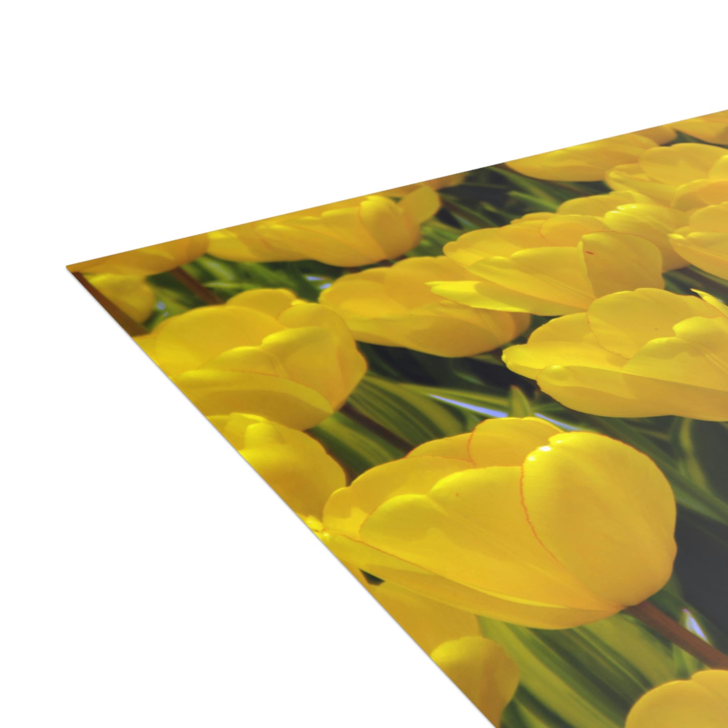 Flowers 23 Greeting Cards (1, 10, 30, and 50pcs)