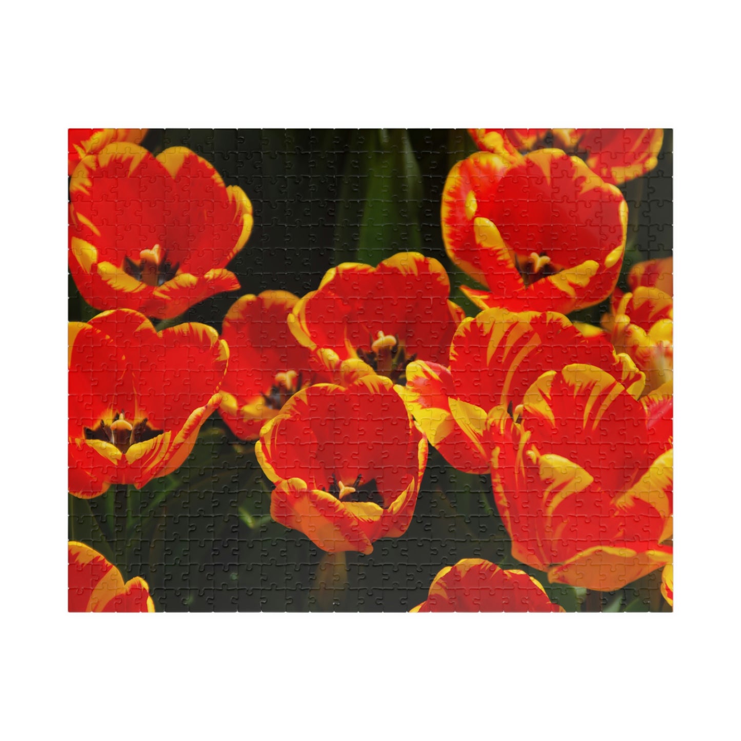 Flowers 18 Puzzle (110, 252, 500, 1014-piece)