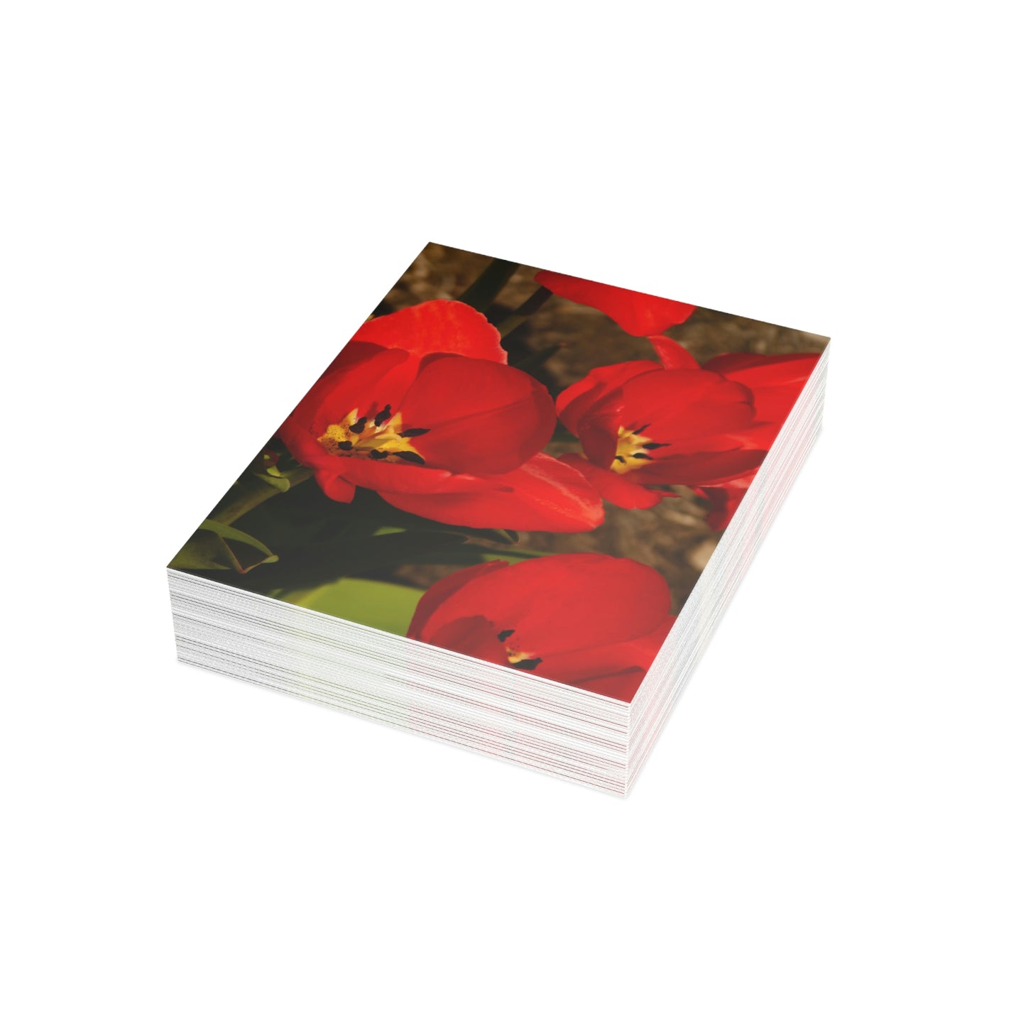 Flowers 05 Greeting Cards (1, 10, 30, and 50pcs)