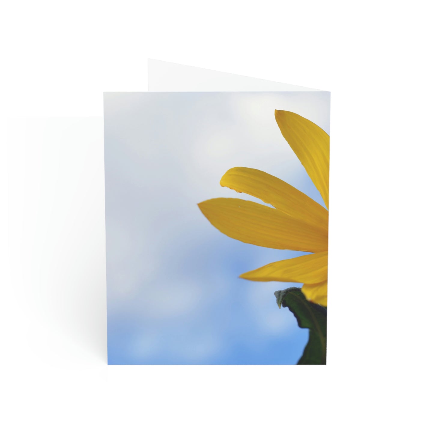 Flowers 32 Greeting Cards (1, 10, 30, and 50pcs)