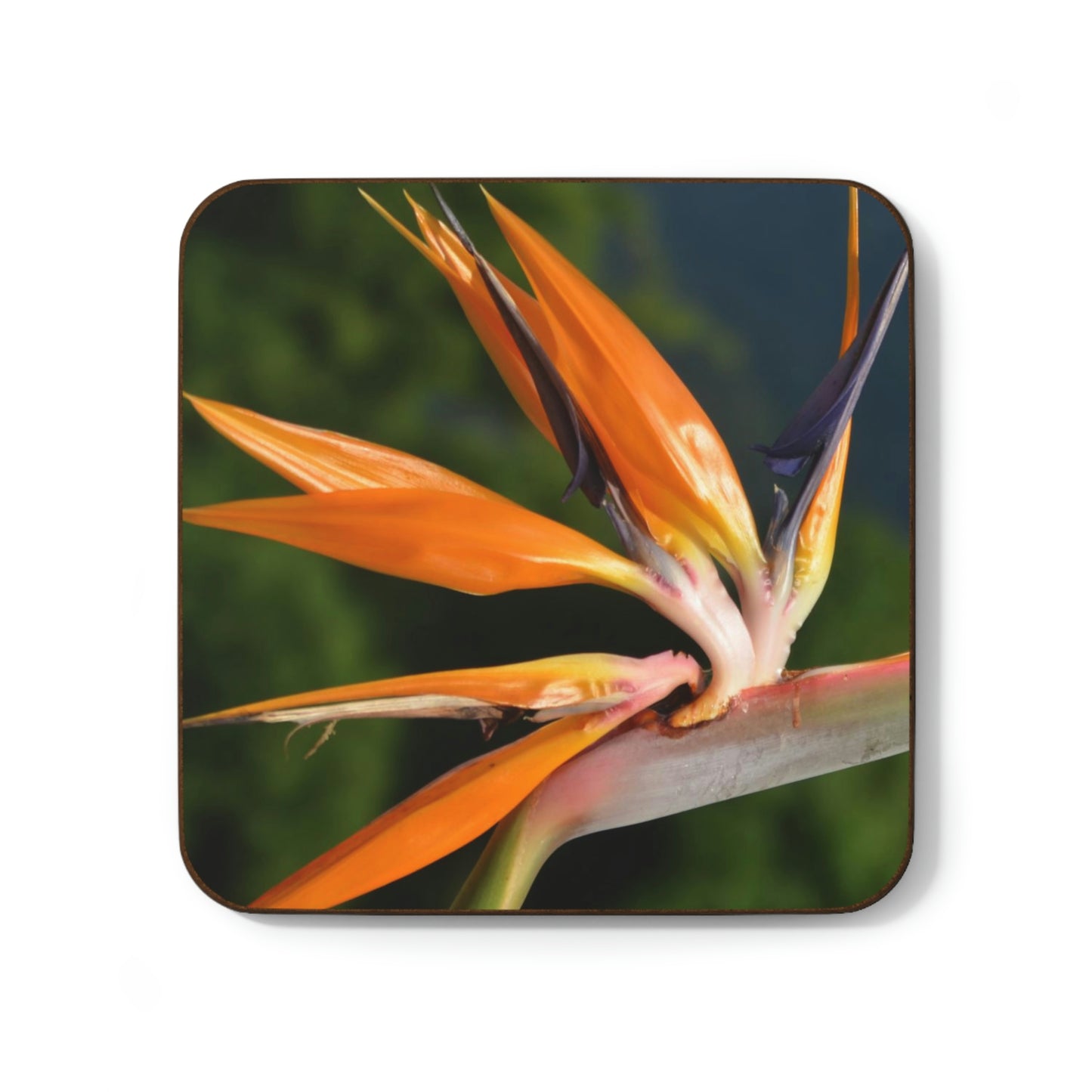Flowers 26 Hardboard Back Coaster