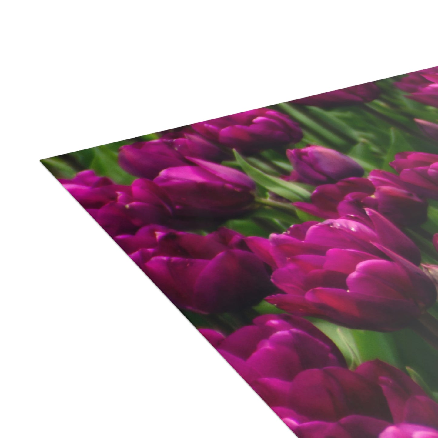 Flowers 20 Greeting Cards (1, 10, 30, and 50pcs)