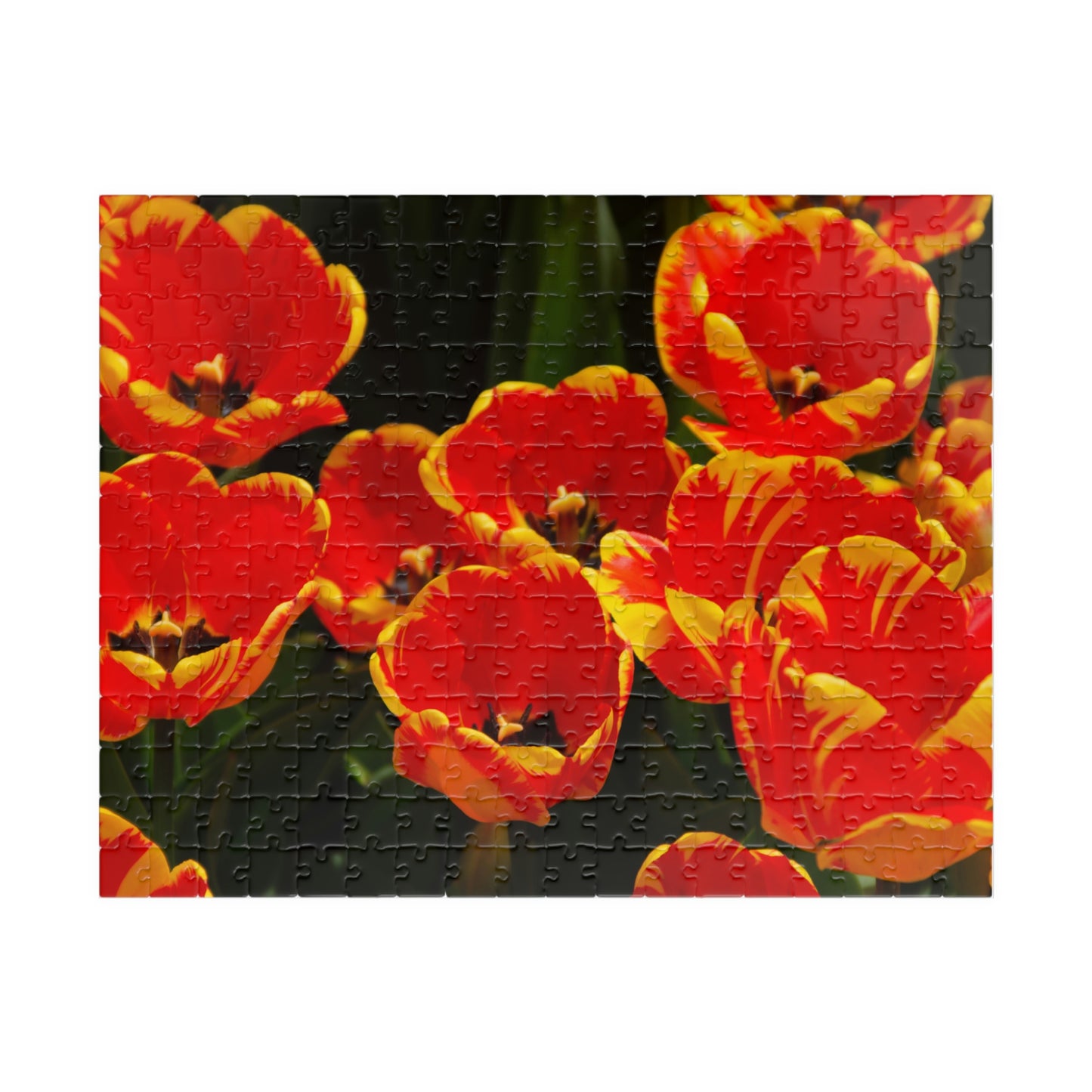 Flowers 18 Puzzle (110, 252, 500, 1014-piece)