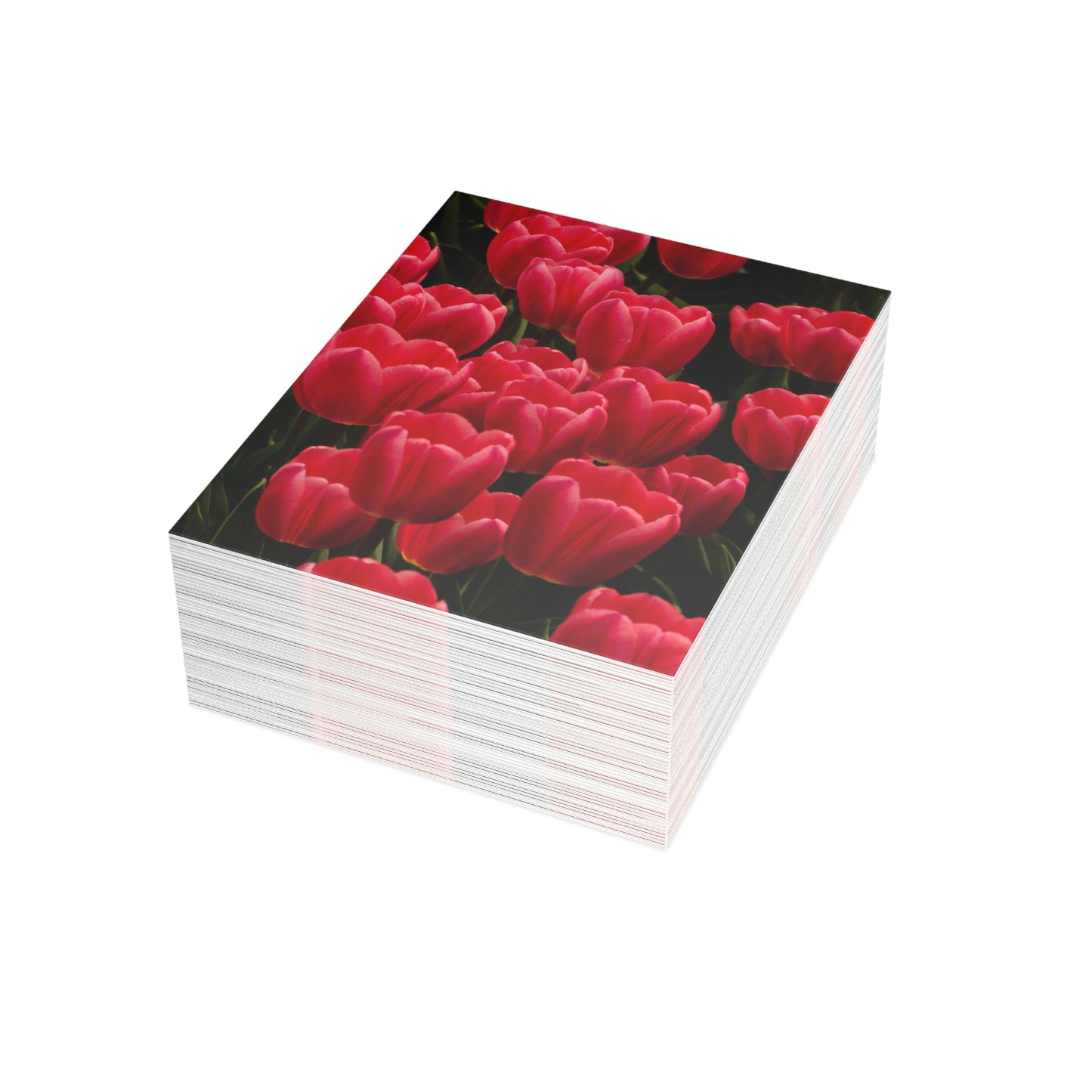 Flowers 24 Greeting Cards (1, 10, 30, and 50pcs)