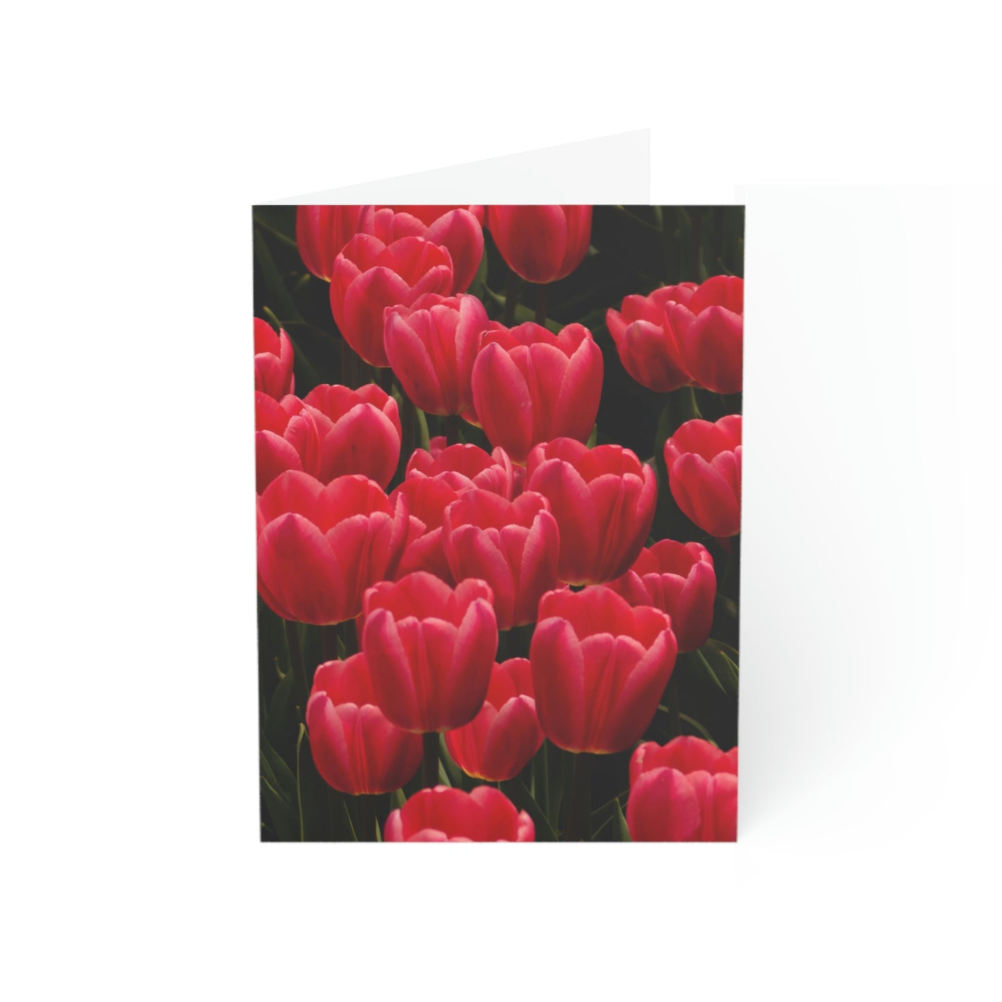Flowers 24 Greeting Cards (1, 10, 30, and 50pcs)