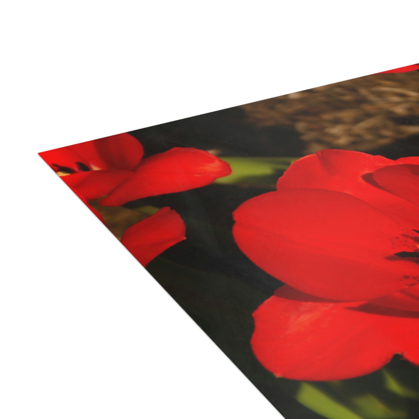 Flowers 05 Greeting Cards (1, 10, 30, and 50pcs)
