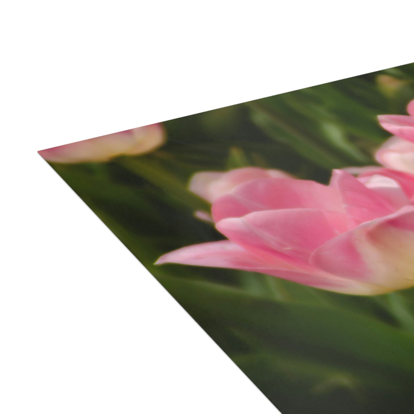Flowers 17 Greeting Cards (1, 10, 30, and 50pcs)