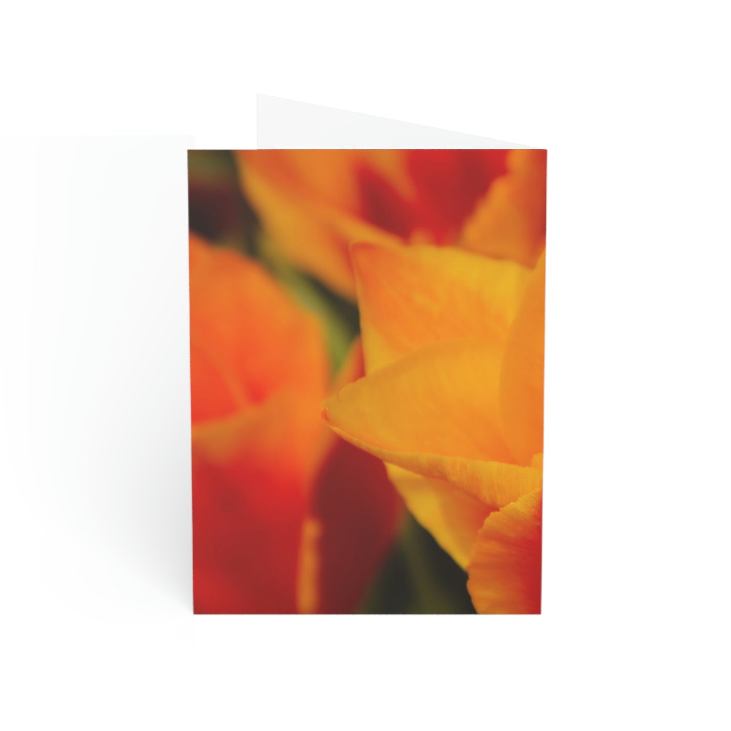 Flowers 15 Greeting Cards (1, 10, 30, and 50pcs)