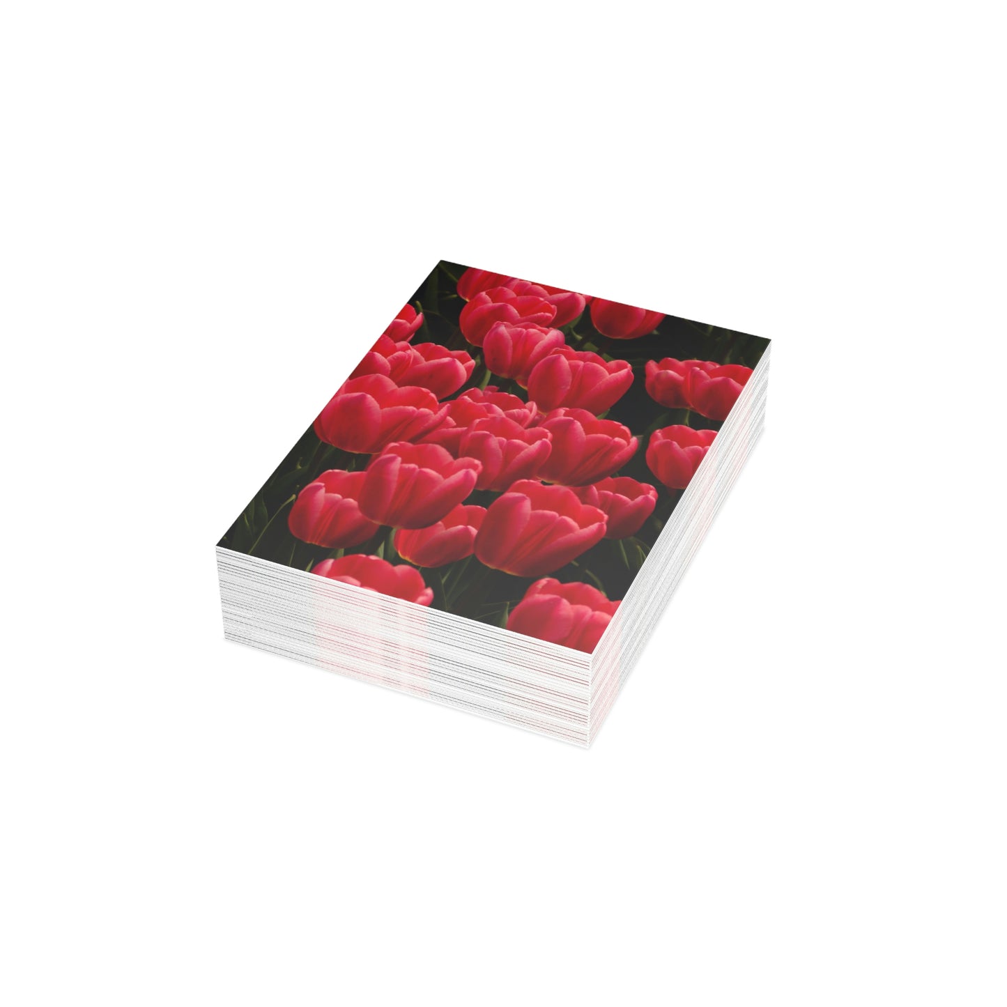 Flowers 24 Greeting Cards (1, 10, 30, and 50pcs)