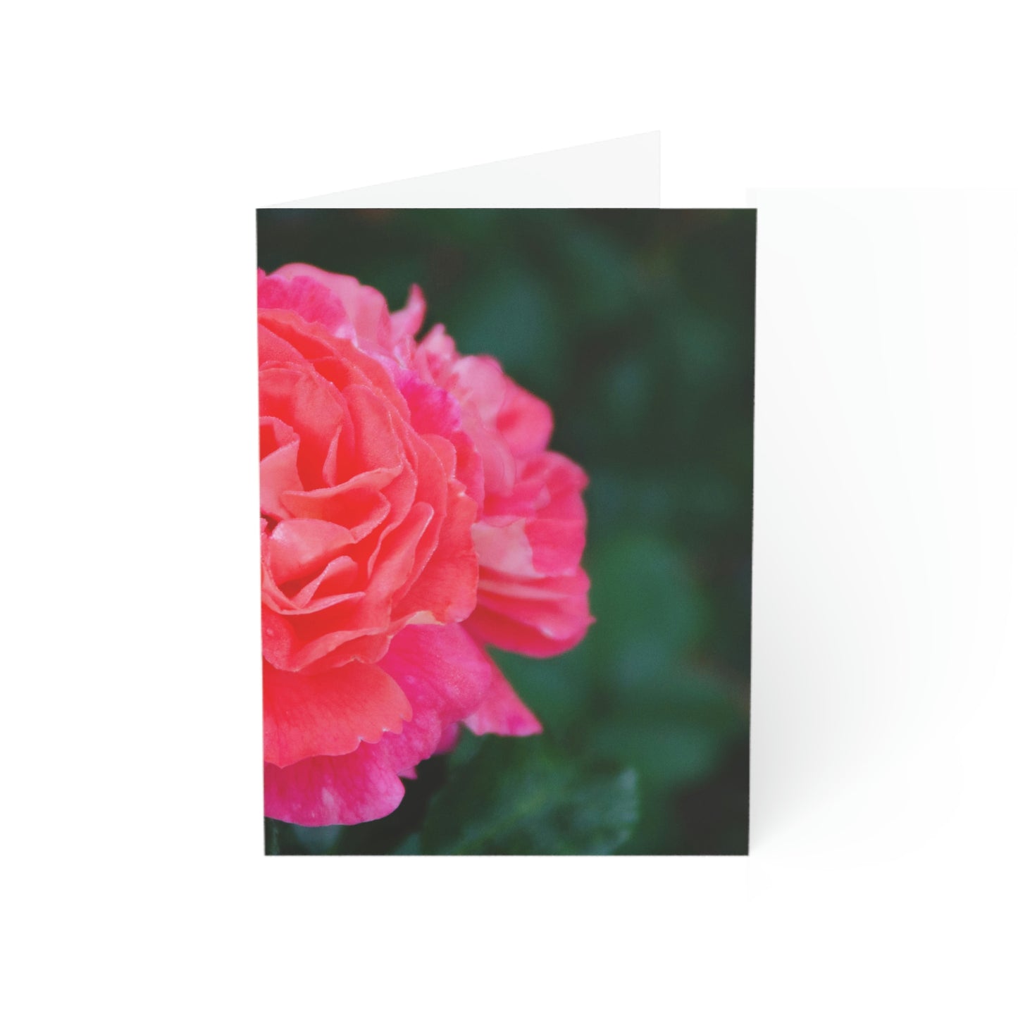 Flowers 06 Greeting Cards (1, 10, 30, and 50pcs)