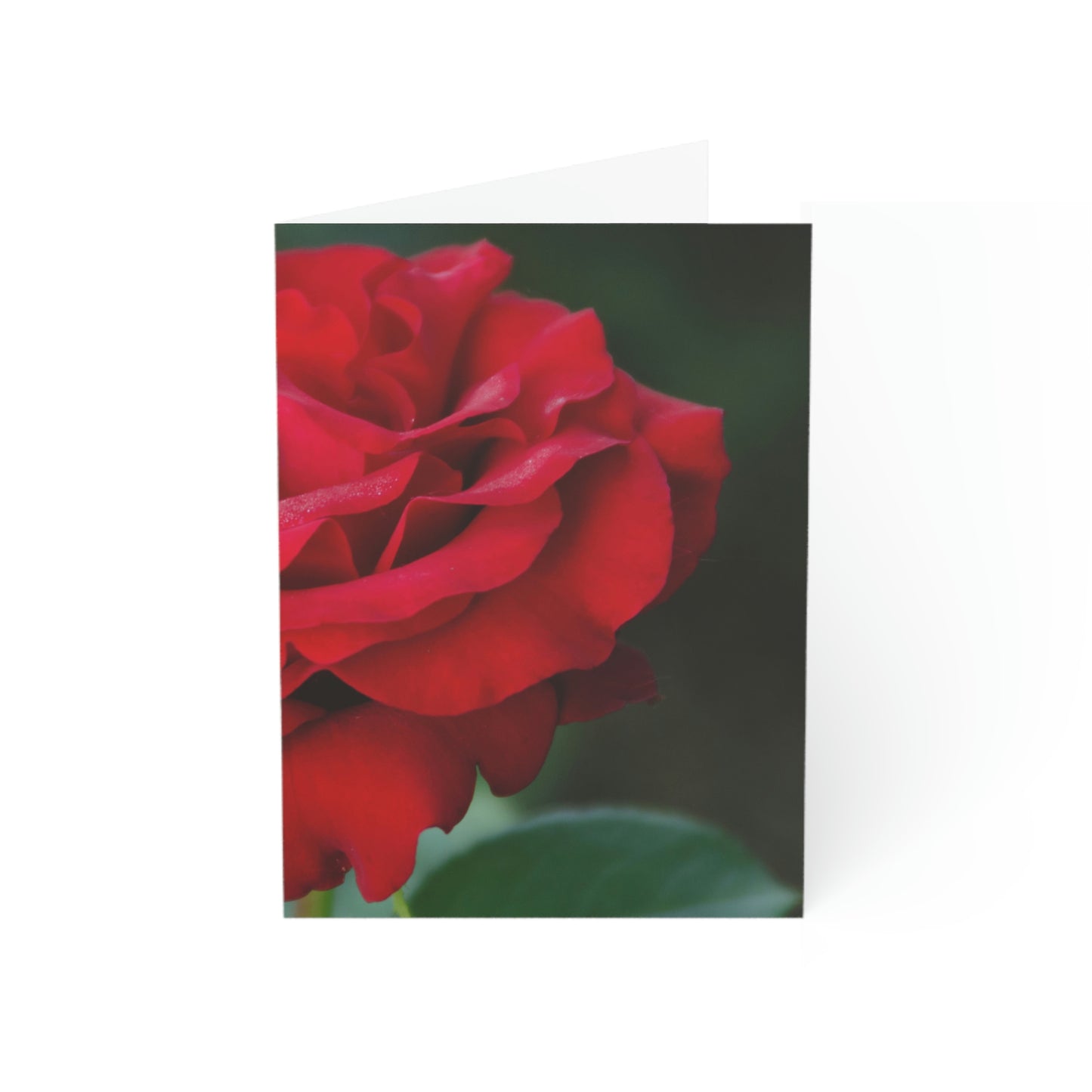 Flowers 13 Greeting Cards (1, 10, 30, and 50pcs)