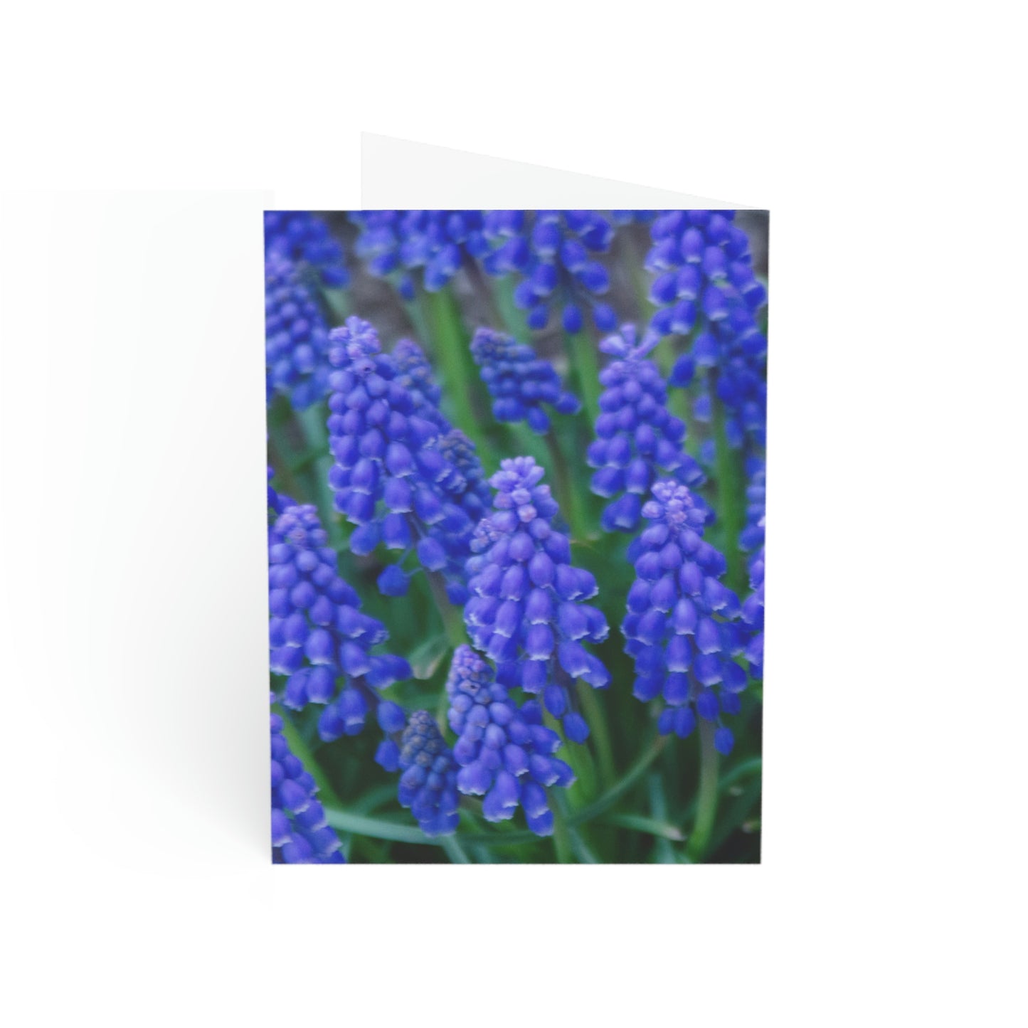 Flowers 10 Greeting Cards (1, 10, 30, and 50pcs)