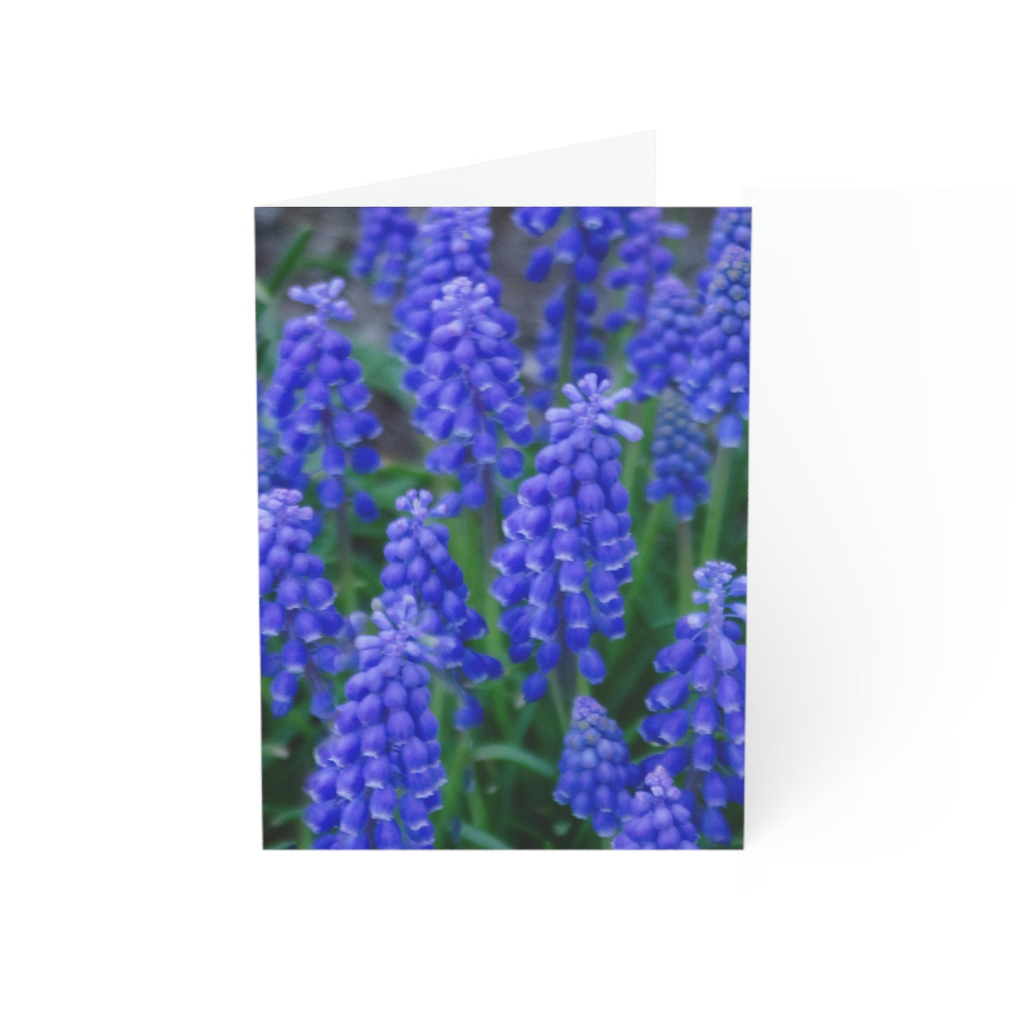 Flowers 10 Greeting Cards (1, 10, 30, and 50pcs)