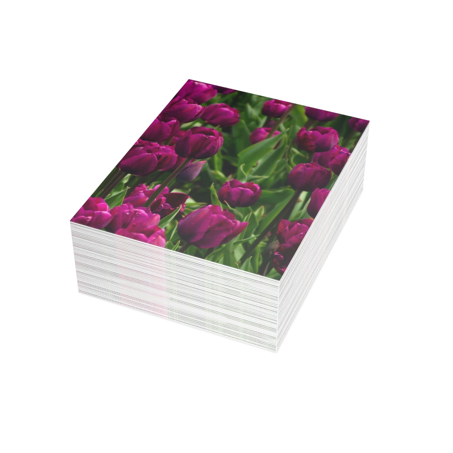 Flowers 20 Greeting Cards (1, 10, 30, and 50pcs)