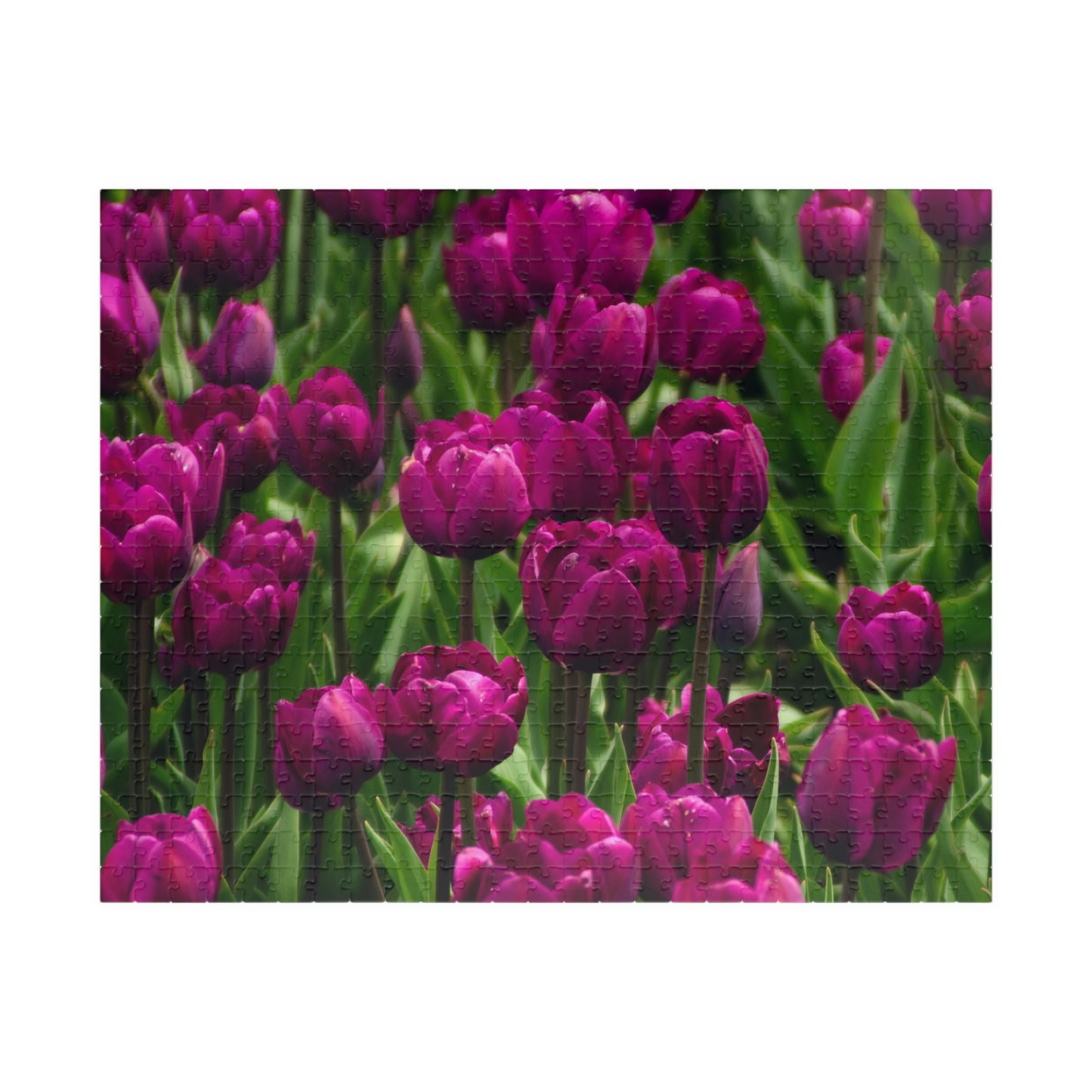 Flowers 19 Puzzle (110, 252, 500, 1014-piece)