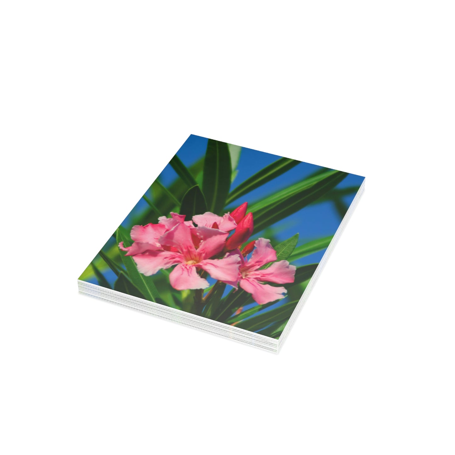 Flowers 30 Greeting Cards (1, 10, 30, and 50pcs)