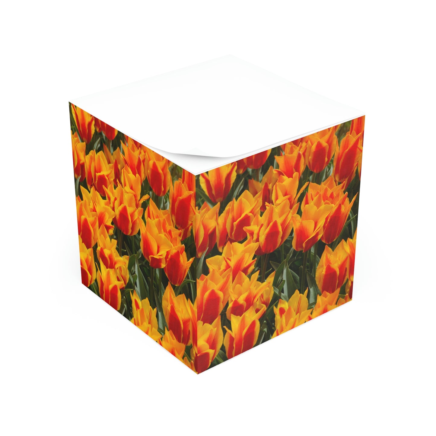 Flowers 18 Note Cube