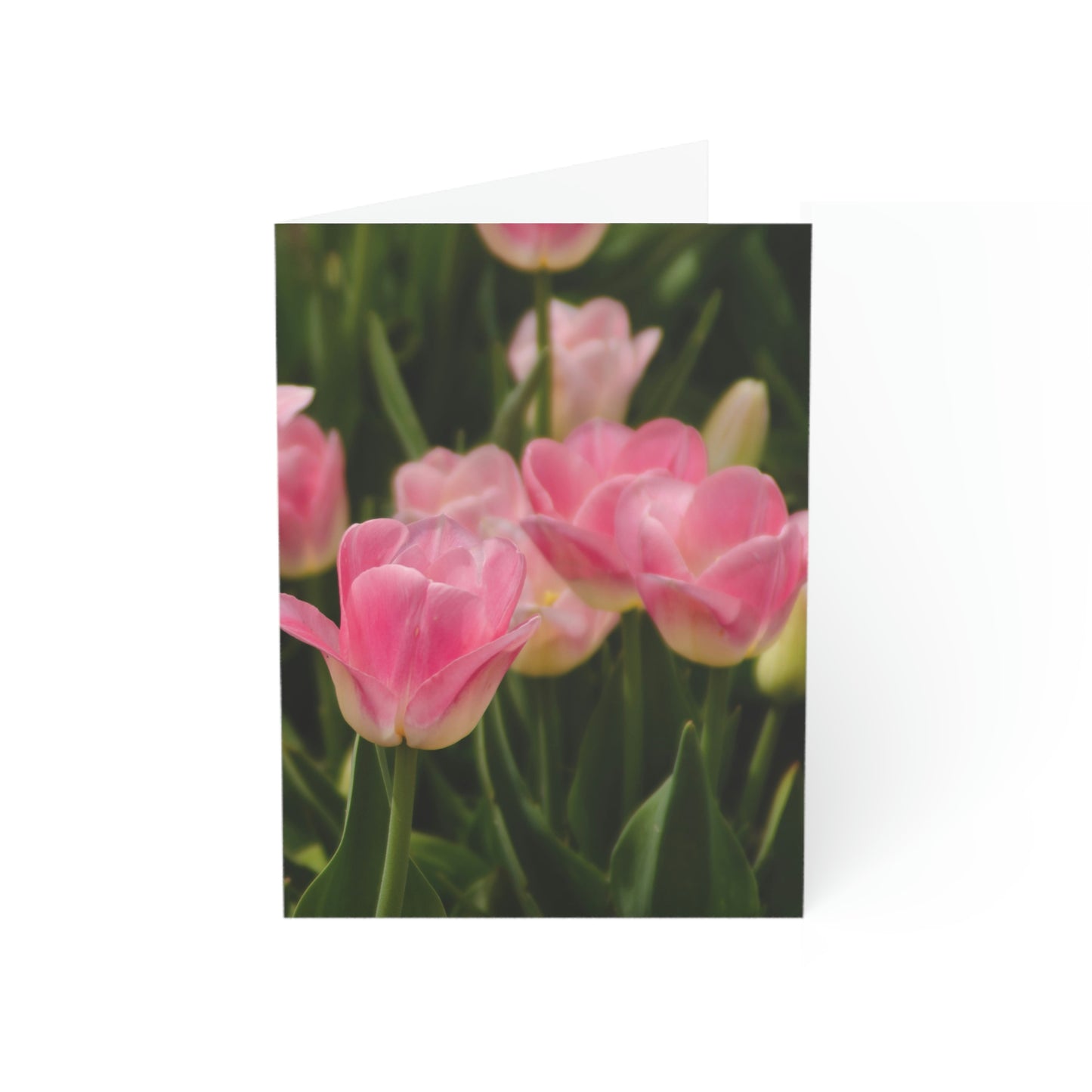 Flowers 17 Greeting Cards (1, 10, 30, and 50pcs)