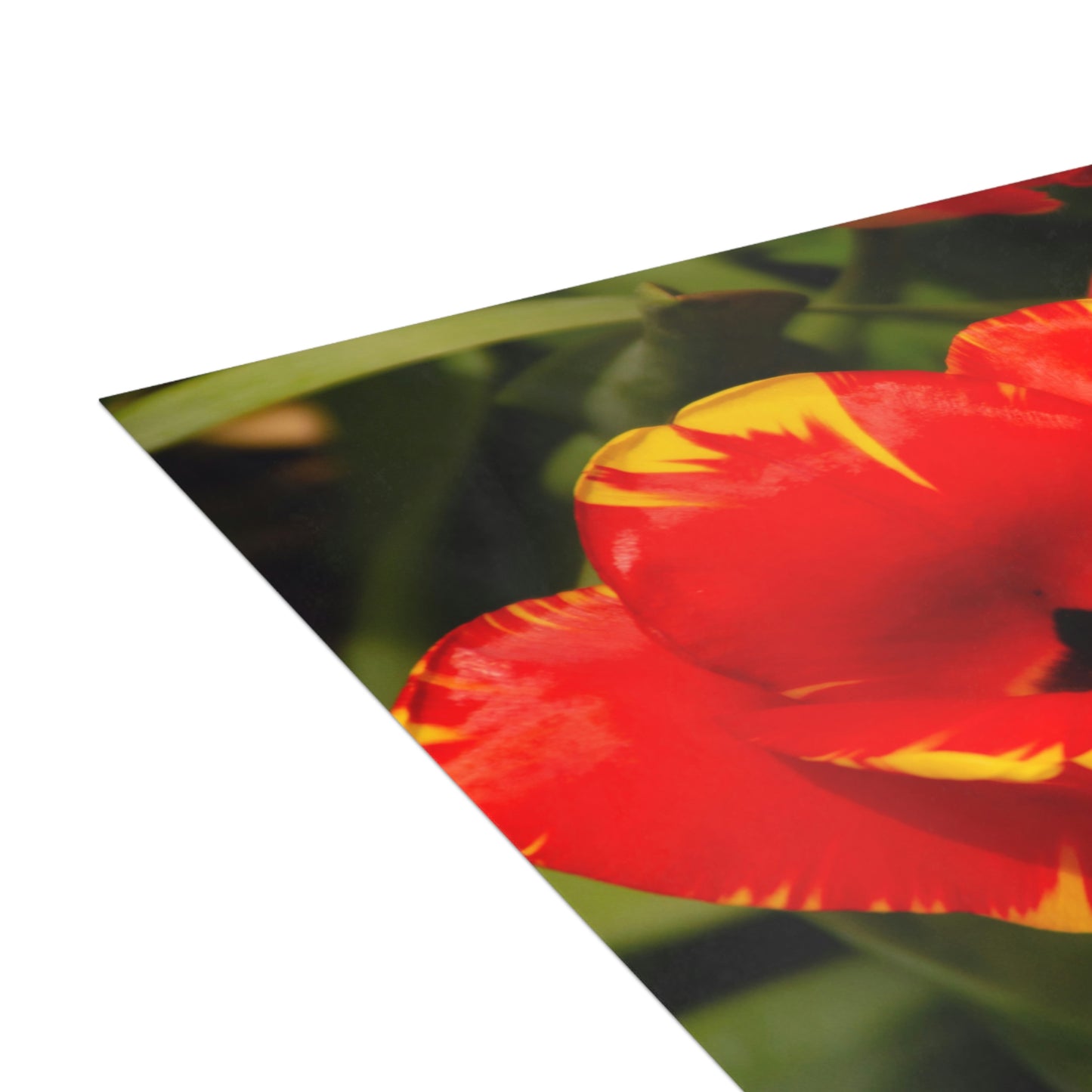 Flowers 09 Greeting Cards (1, 10, 30, and 50pcs)
