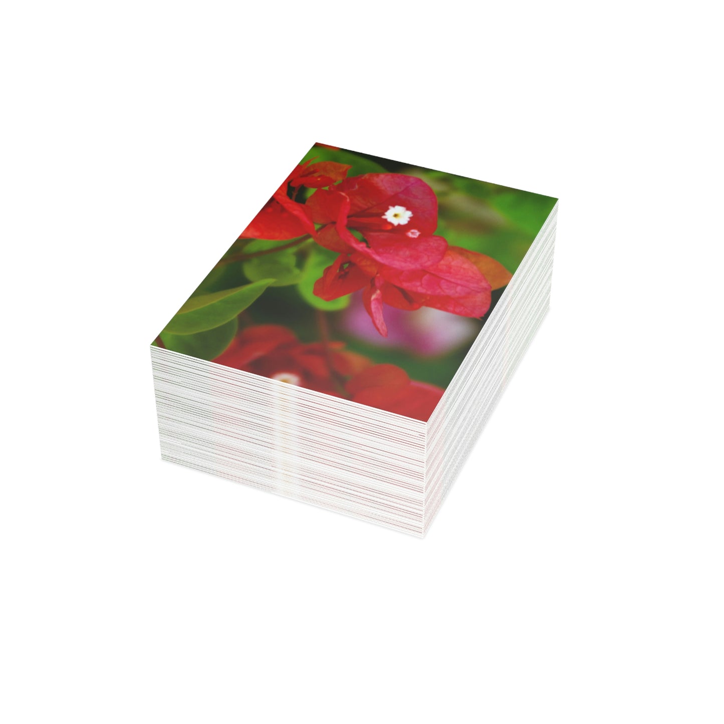 Flowers 28 Greeting Cards (1, 10, 30, and 50pcs)
