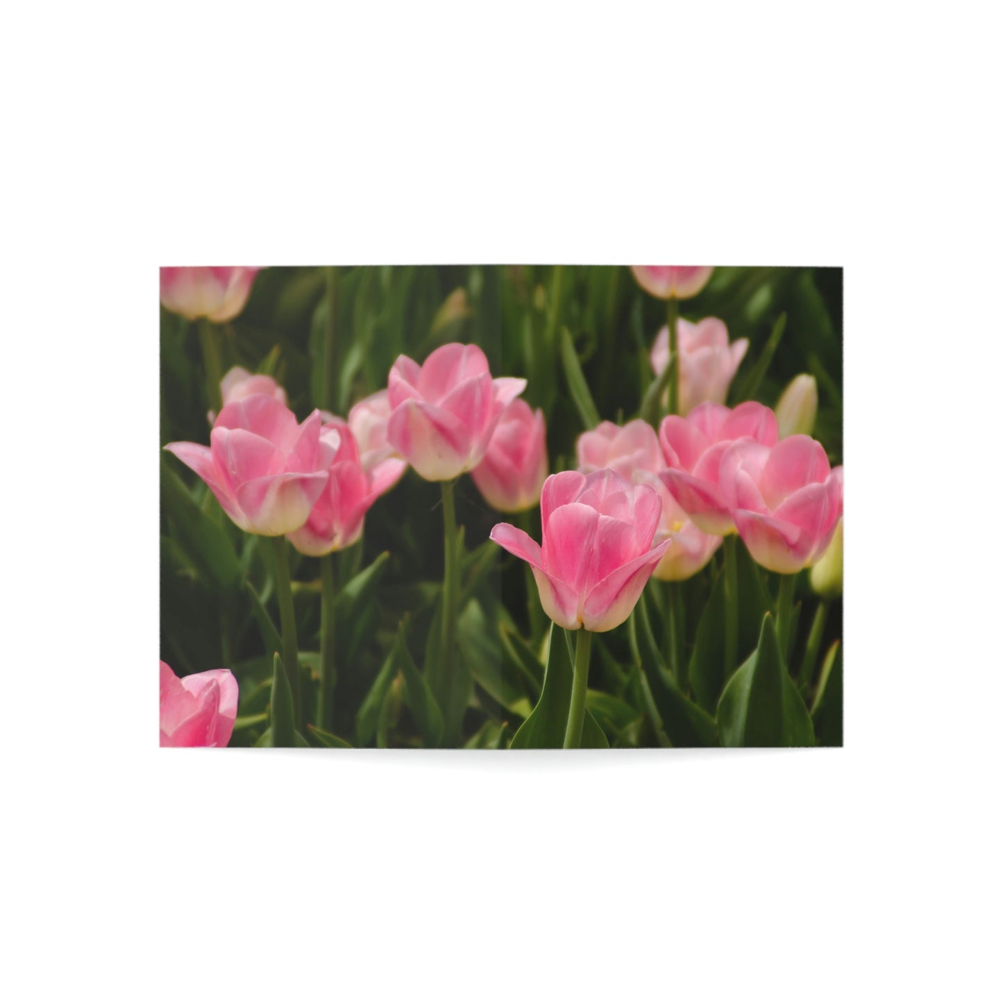 Flowers 17 Greeting Cards (1, 10, 30, and 50pcs)
