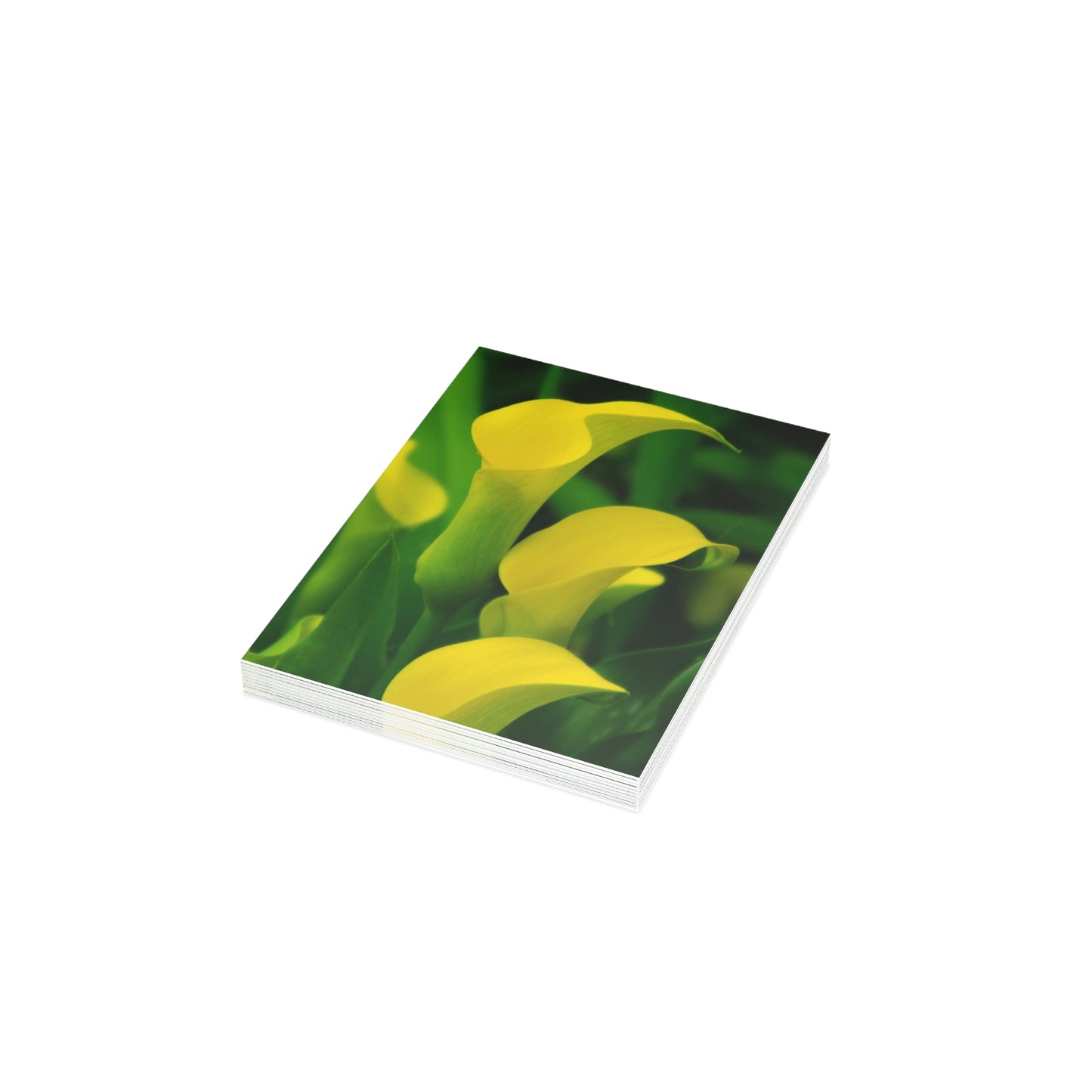 Flowers 33 Greeting Cards (1, 10, 30, and 50pcs)