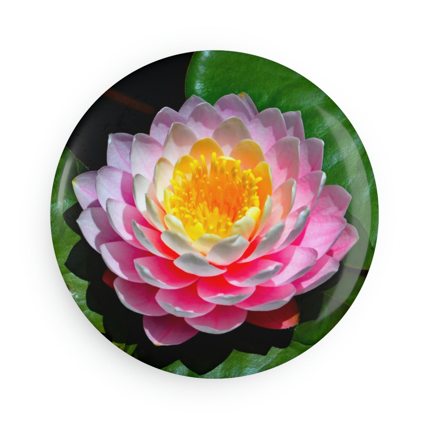 Flowers 25 Button Magnet, Round (1 & 10 pcs)