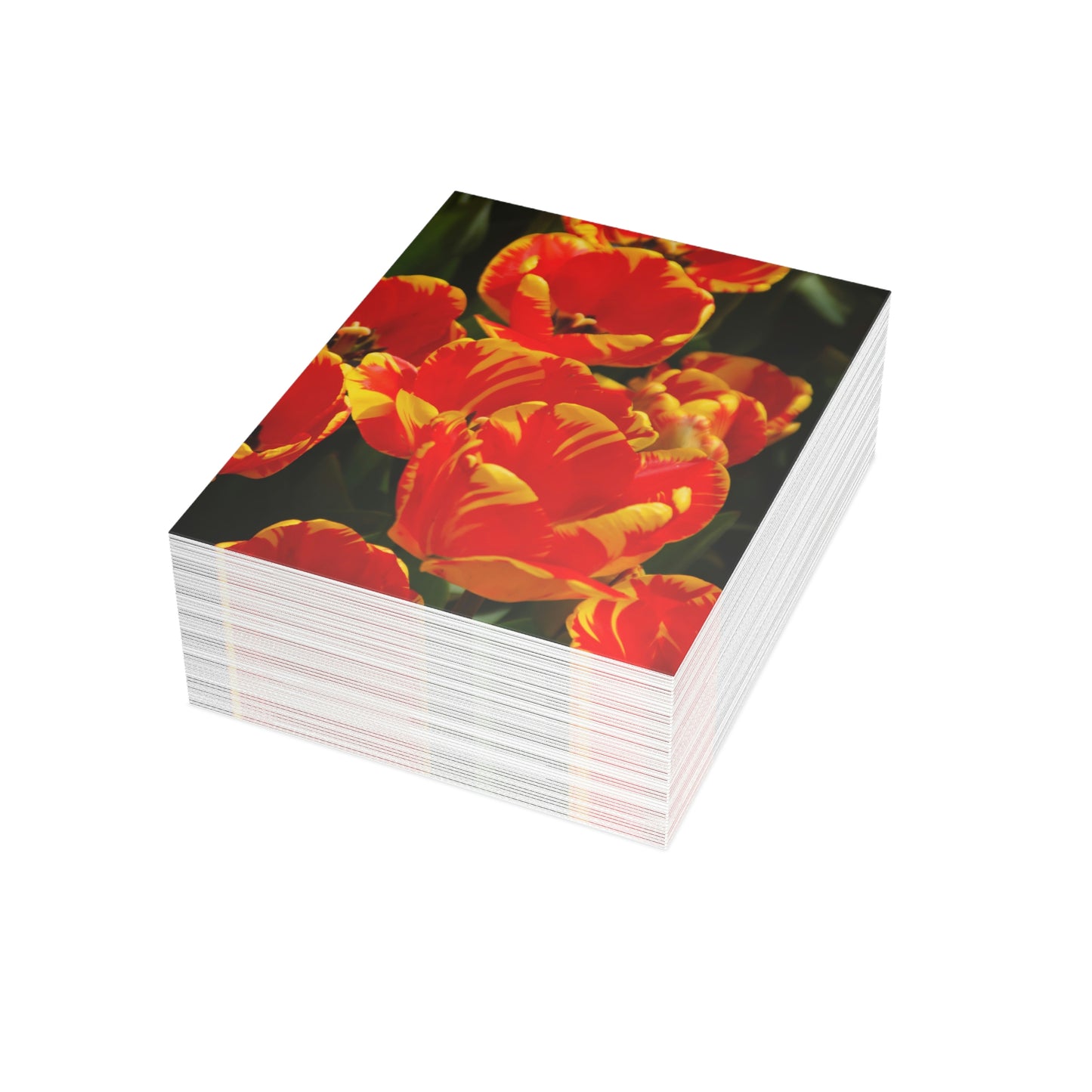 Flowers 19 Greeting Cards (1, 10, 30, and 50pcs)