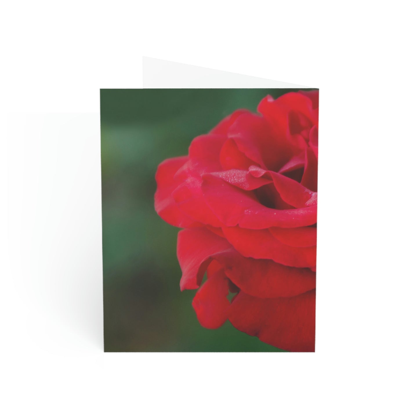 Flowers 13 Greeting Cards (1, 10, 30, and 50pcs)
