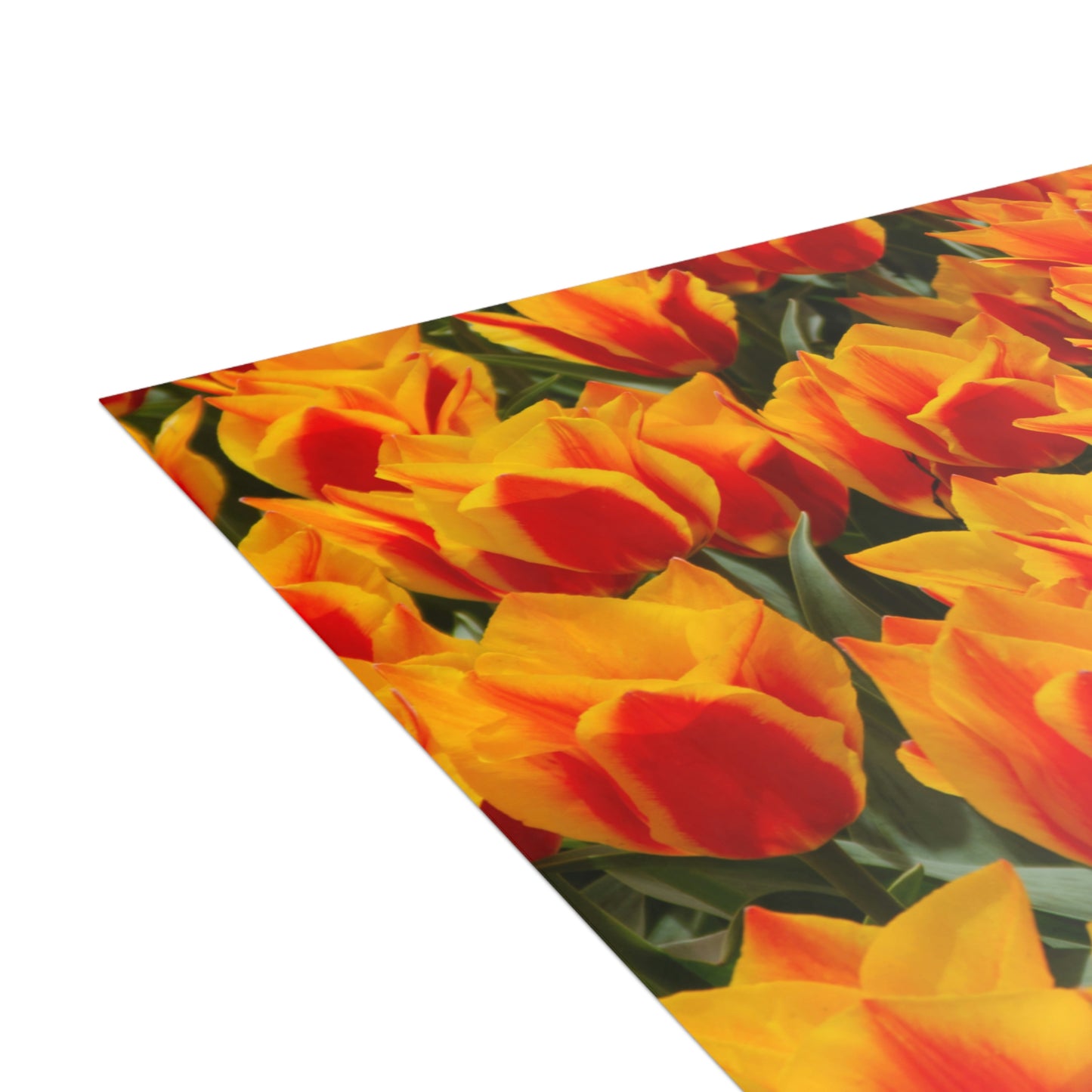 Flowers 18 Greeting Cards (1, 10, 30, and 50pcs)