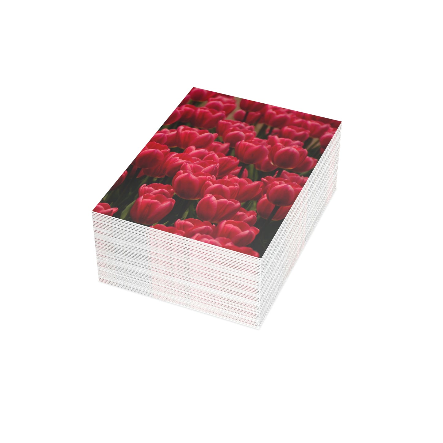 Flowers 16 Greeting Cards (1, 10, 30, and 50pcs)