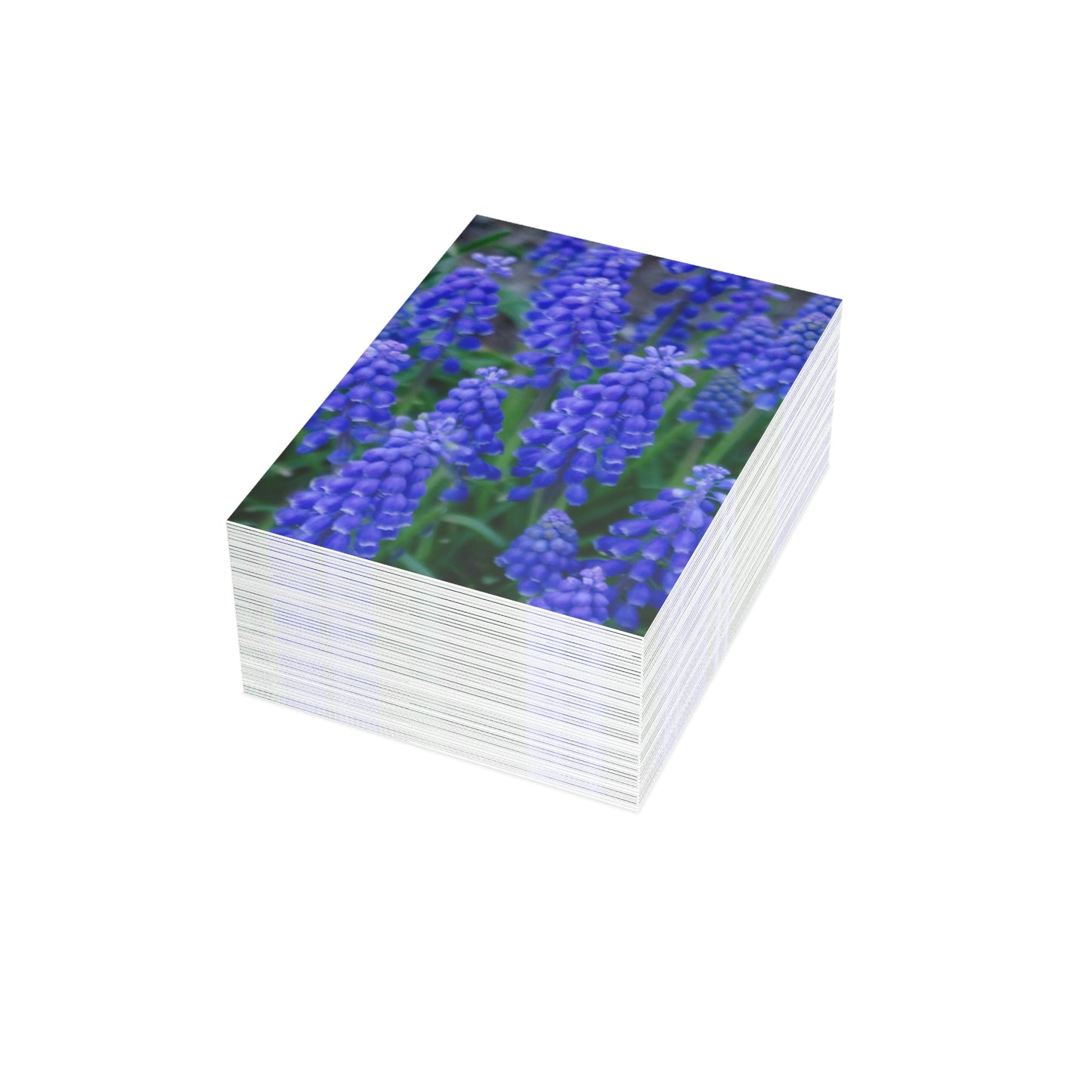 Flowers 10 Greeting Cards (1, 10, 30, and 50pcs)