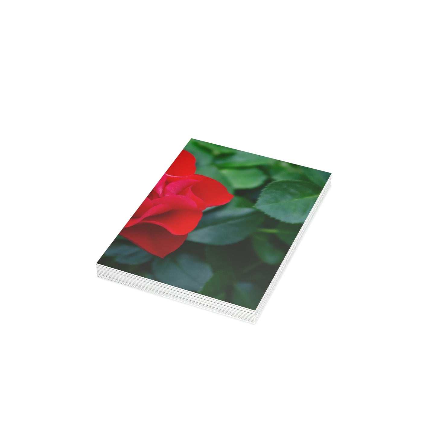 Flowers 11 Greeting Cards (1, 10, 30, and 50pcs)