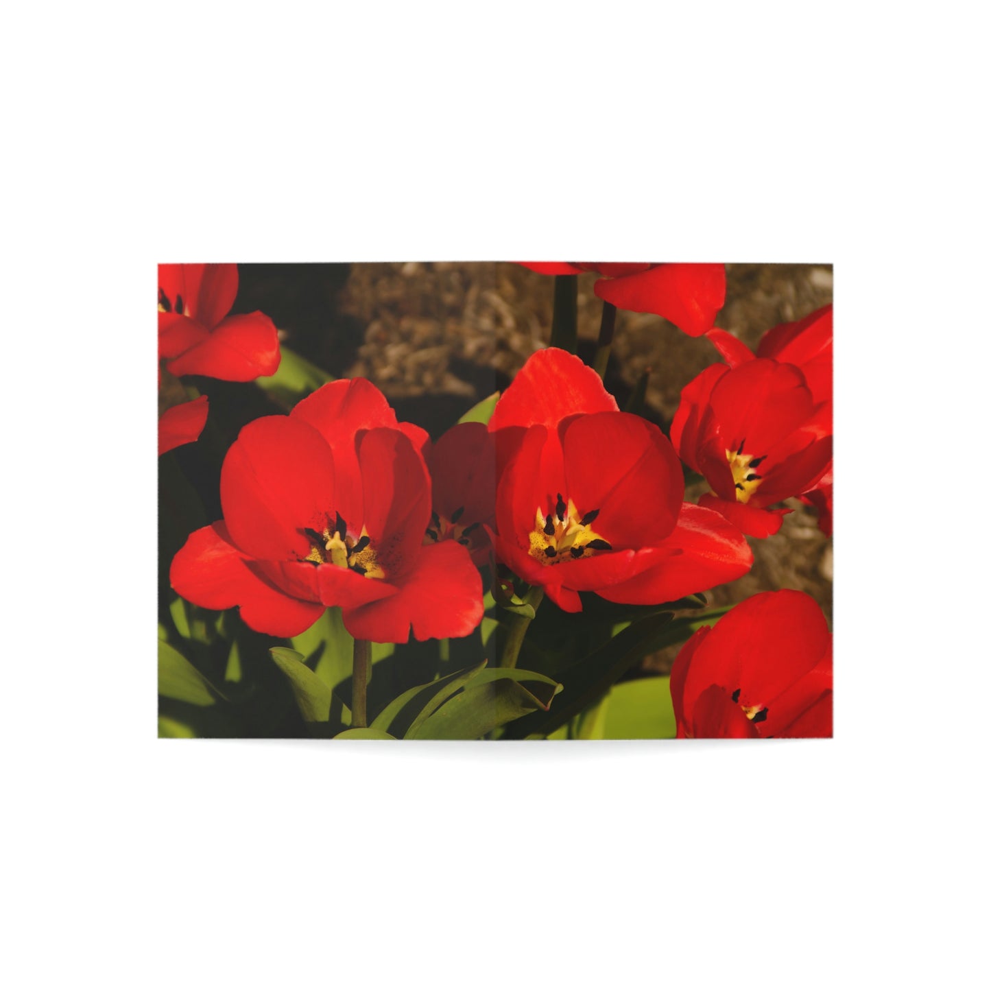 Flowers 05 Greeting Cards (1, 10, 30, and 50pcs)