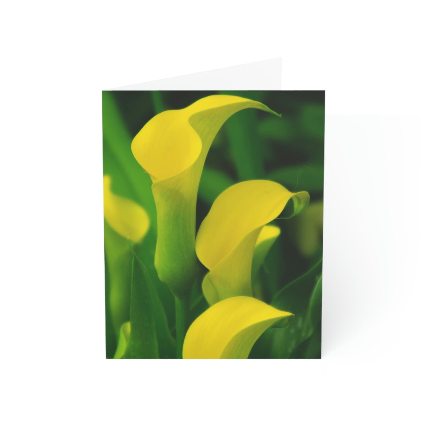 Flowers 33 Greeting Cards (1, 10, 30, and 50pcs)