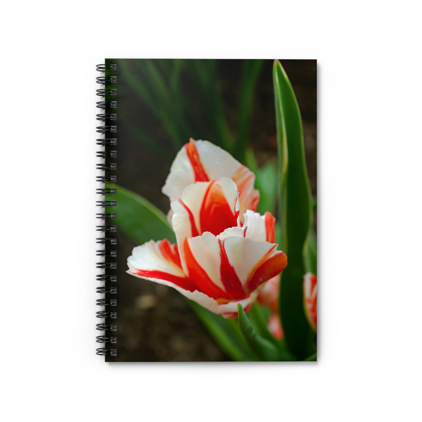 Flowers 06 Spiral Notebook - Ruled Line