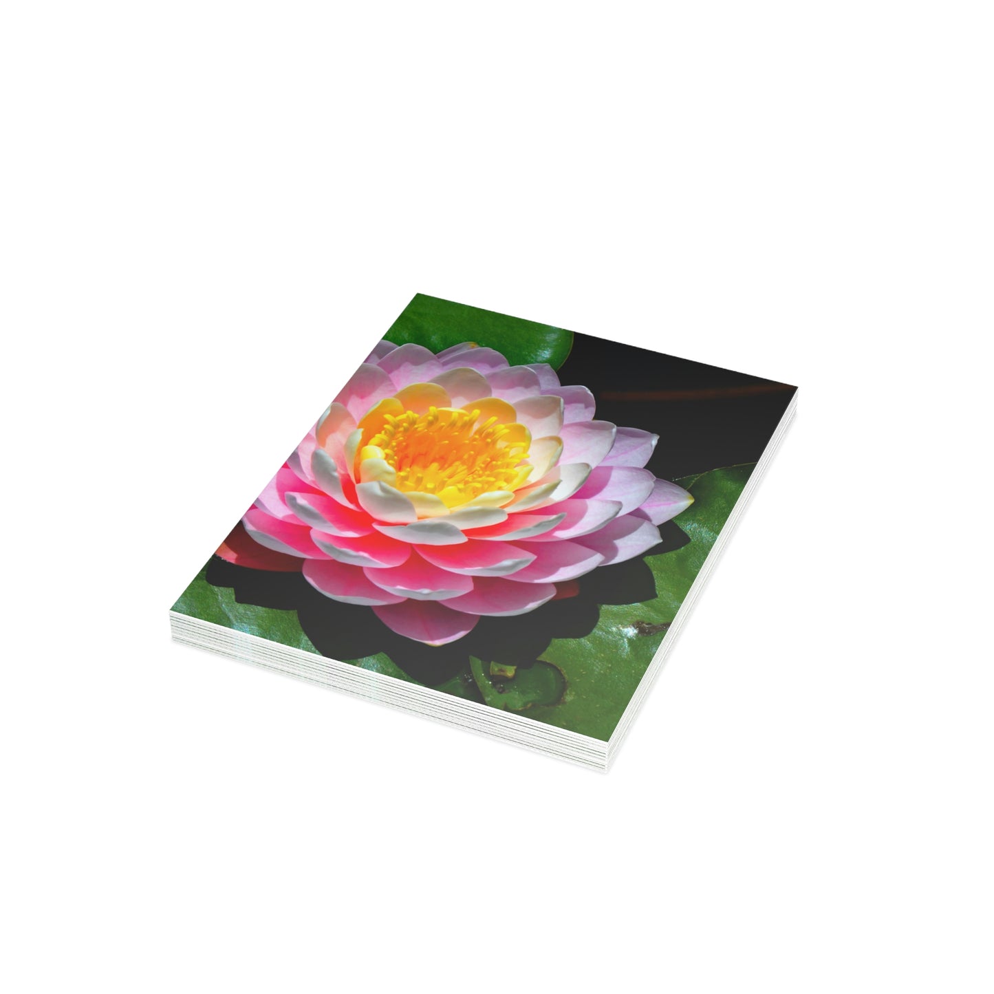Flowers 25 Greeting Cards (1, 10, 30, and 50pcs)