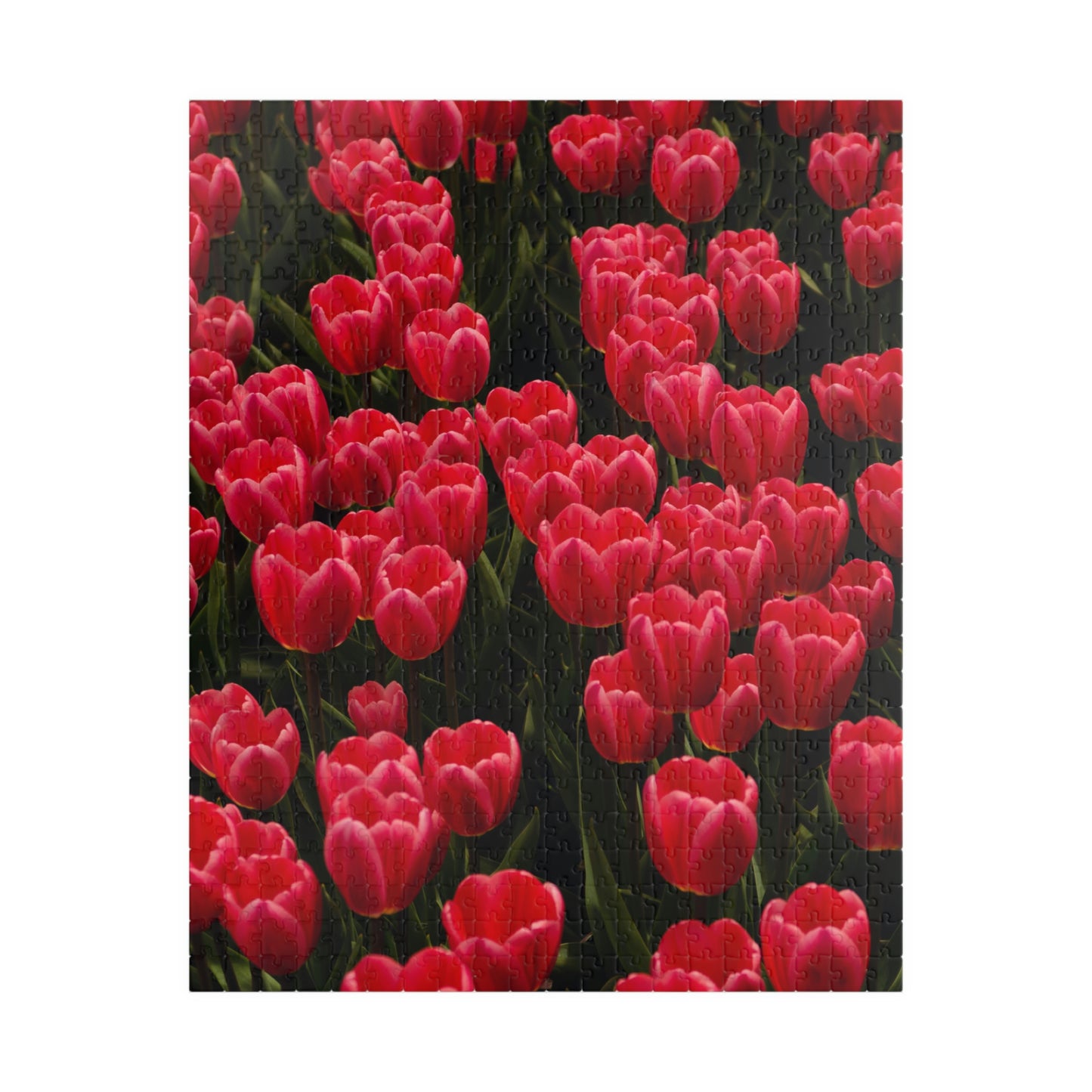 Flowers 24 Puzzle (110, 252, 500, 1014-piece)