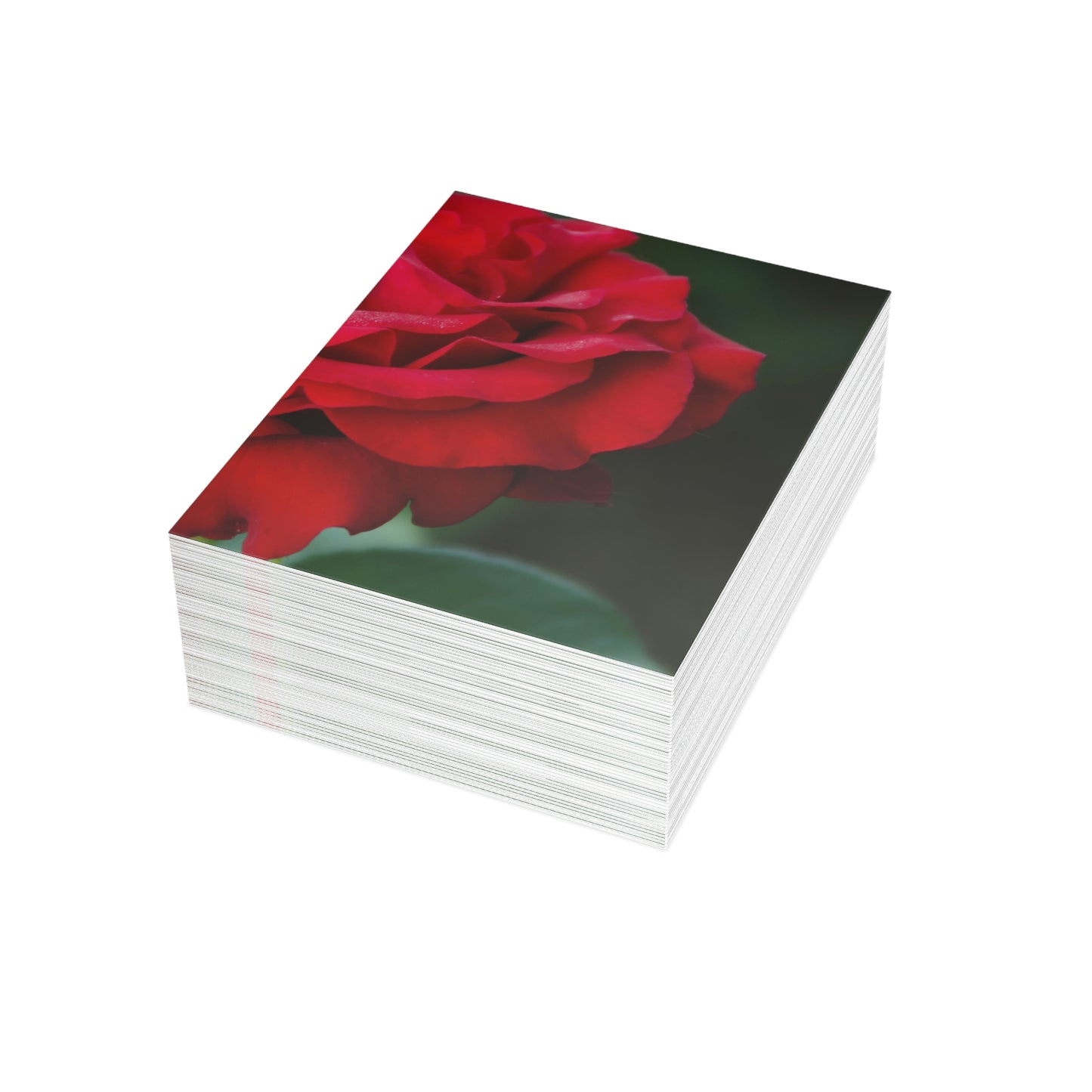 Flowers 13 Greeting Cards (1, 10, 30, and 50pcs)